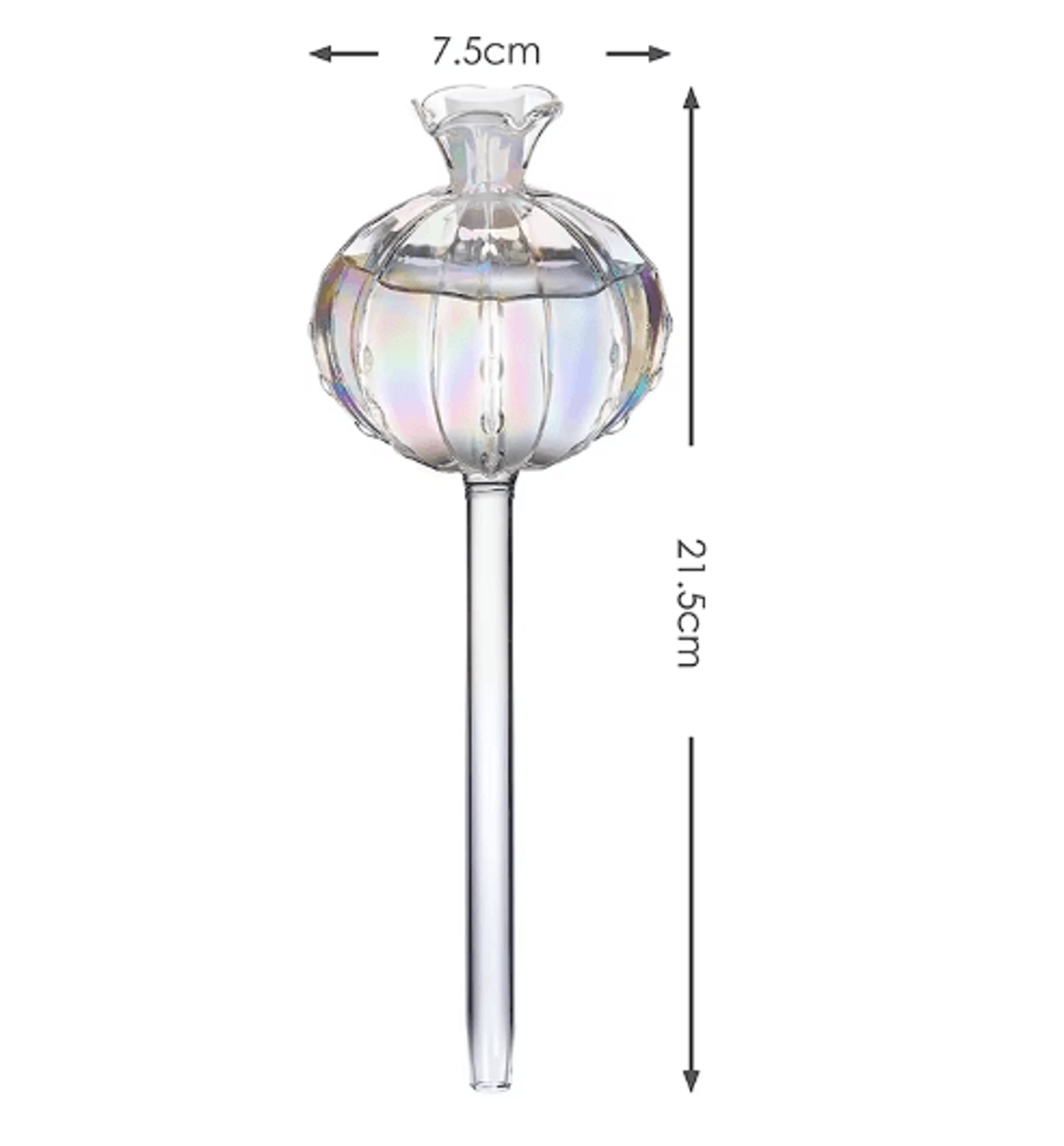 Glass Automatic Plant Watering Bulbs  SelfWatering Drip Irrigation Globes For Indoor  Outdoor Plant 5