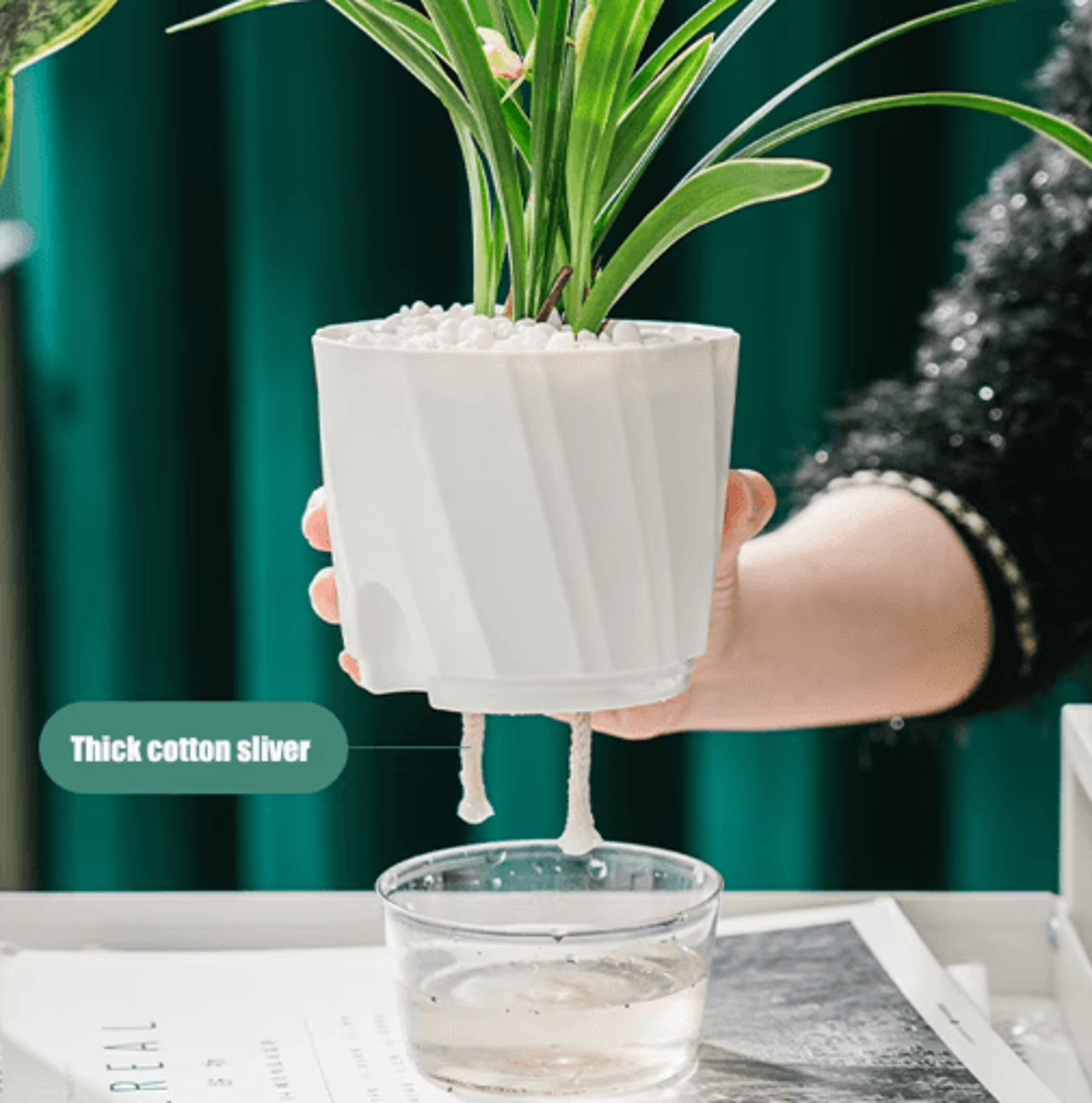 Lazy Hydroponic SelfWatering Planter  Transparent Double Layer Automatic WaterAbsorbing Flower Pot  4