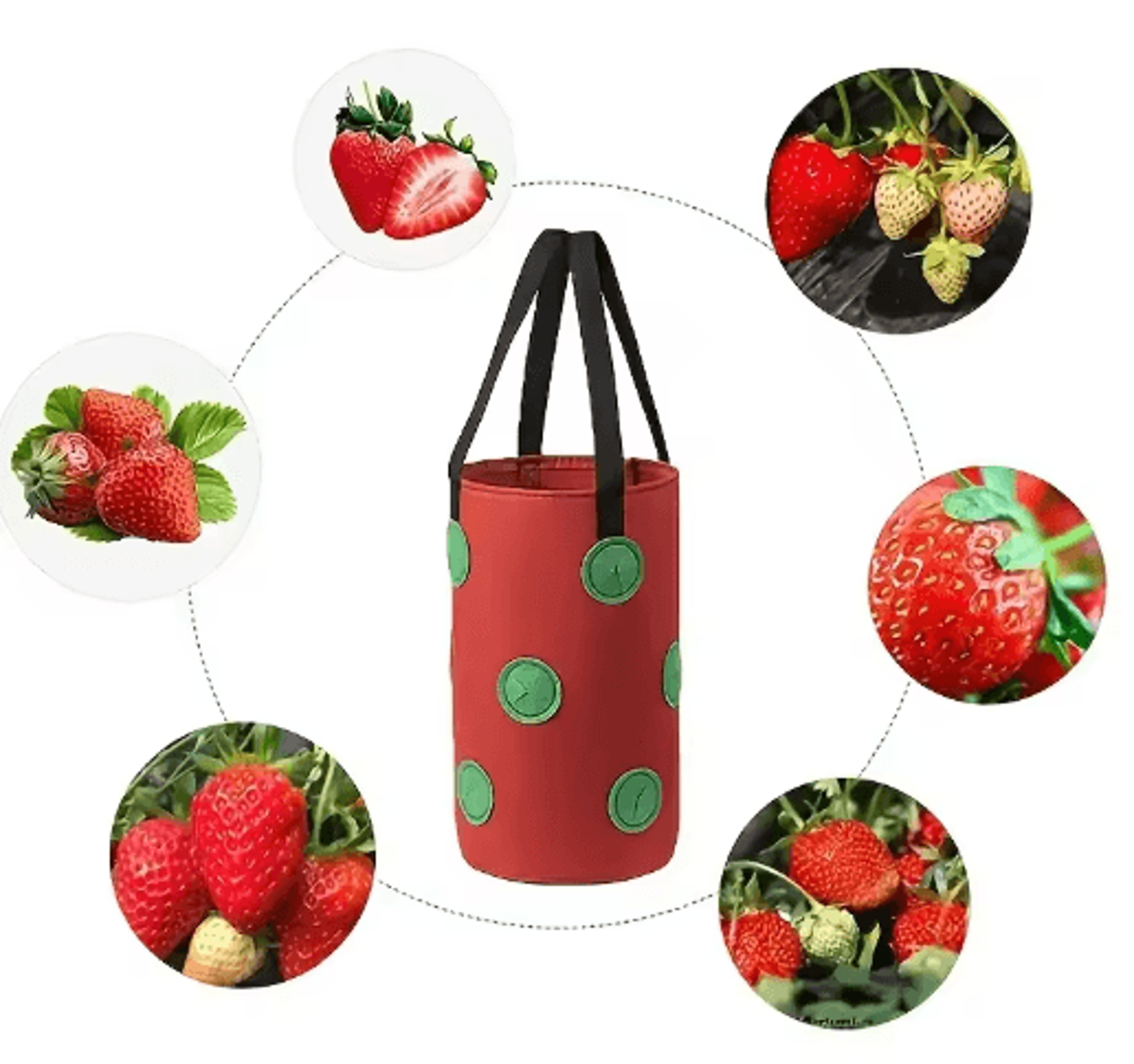 13Pocket Felt Hanging Grow Bag  MultiFunction Vertical Planter For Tomatoes Strawberries Flowers  V 4