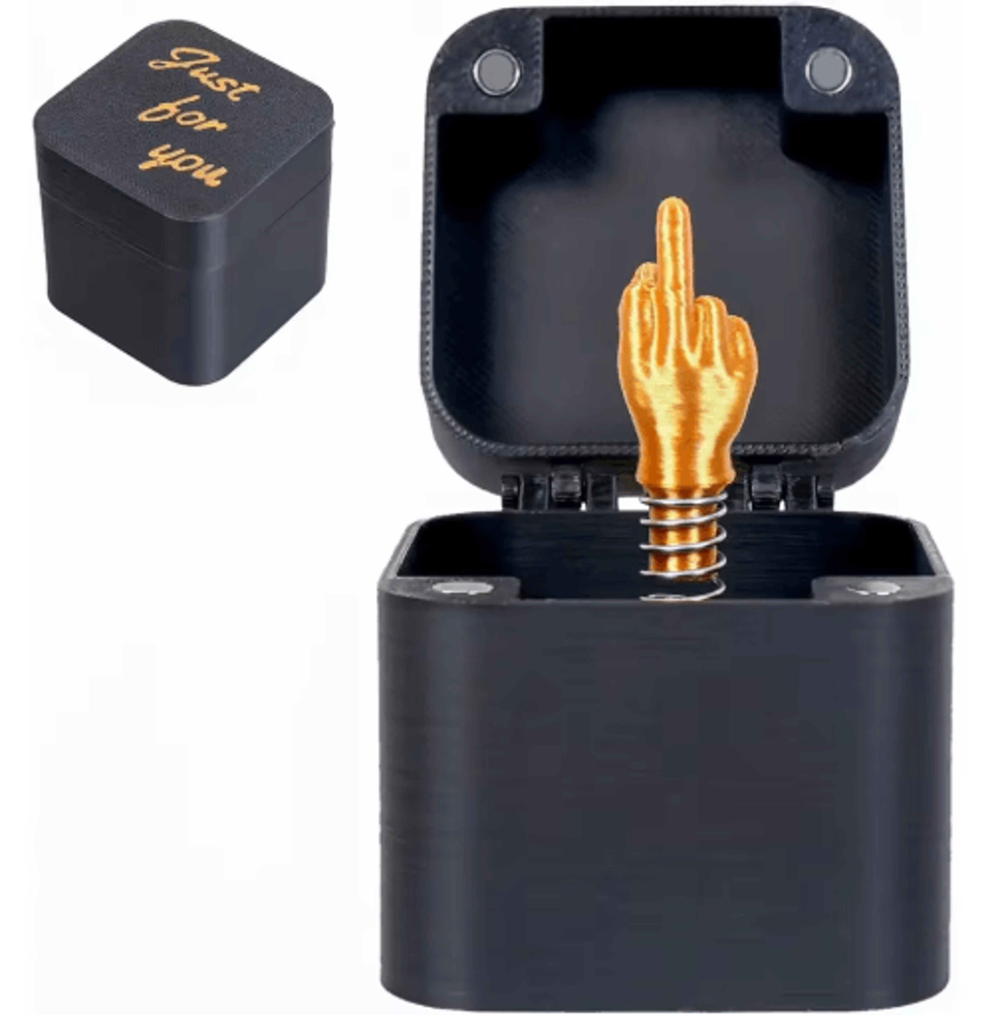 Funny Middle Finger In A Box  Novelty Desk Decor  Gag Gift For Halloween Christmas  Birthdays 0