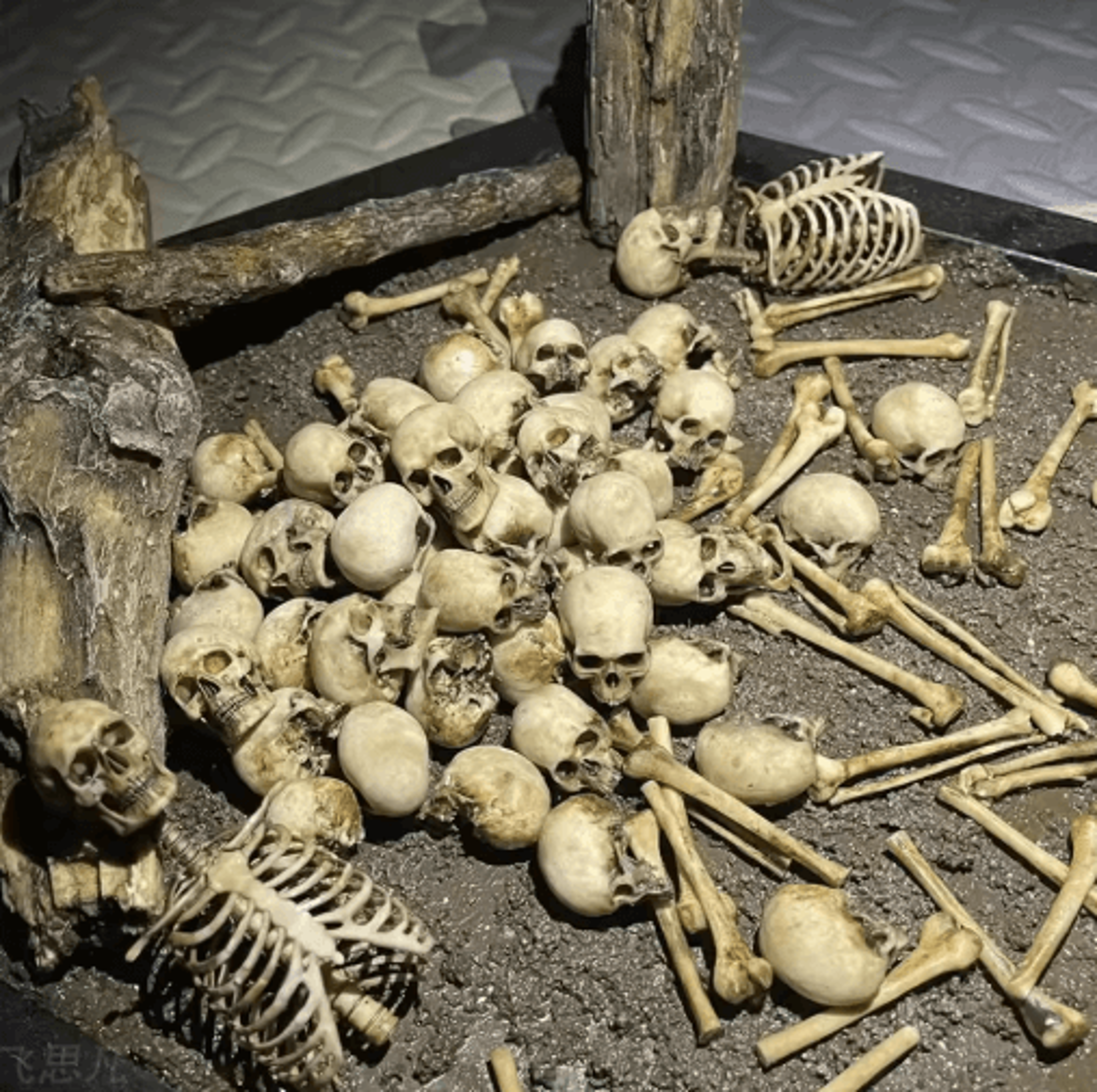Mini Skeleton Skull Model  Realistic Halloween Miniature For Dollhouse Plants  Spooky Decor 6