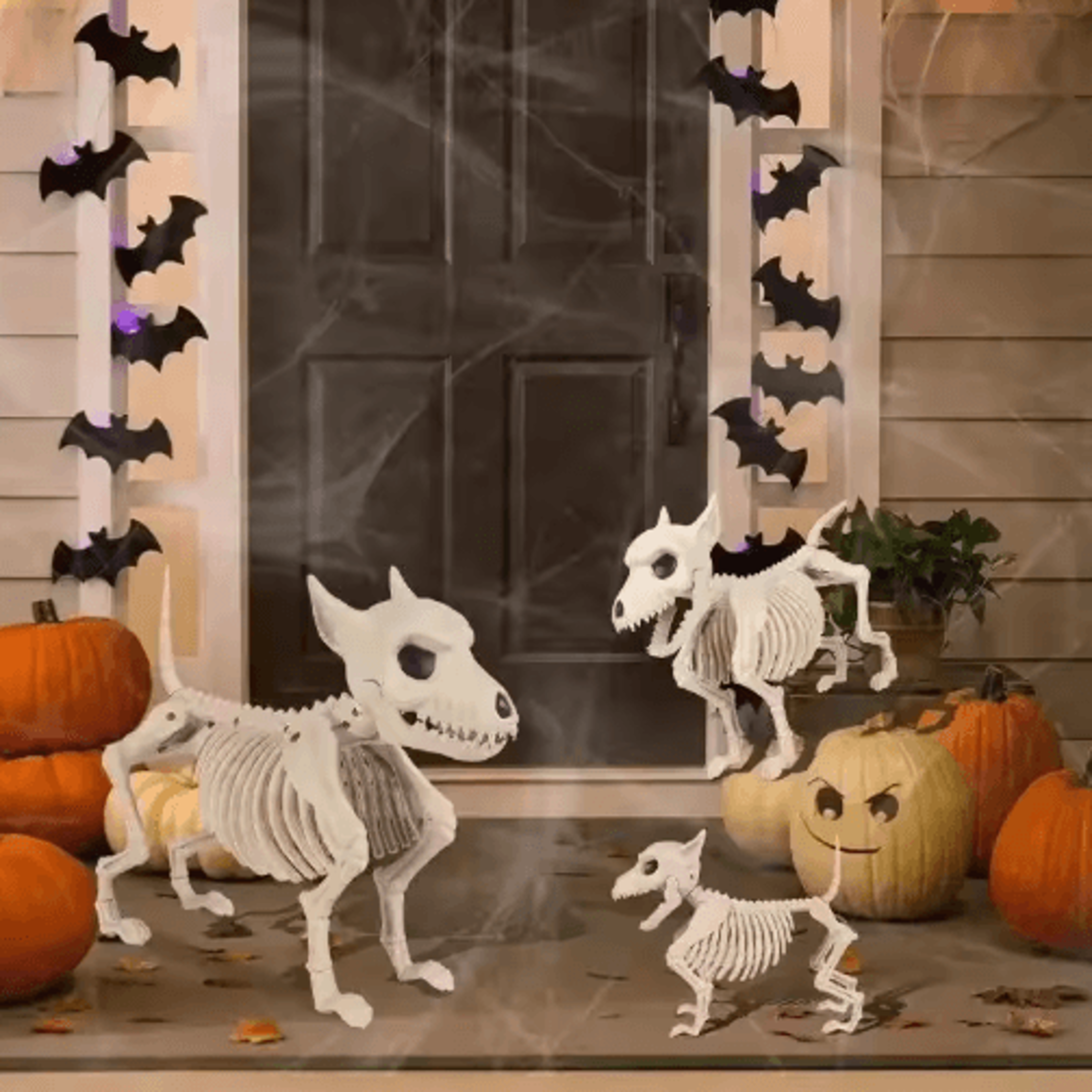 Halloween Skeleton Animal Decorations  Simulated Wolf Frog  Crow Skeleton Props For Indoor  Outdoor 0