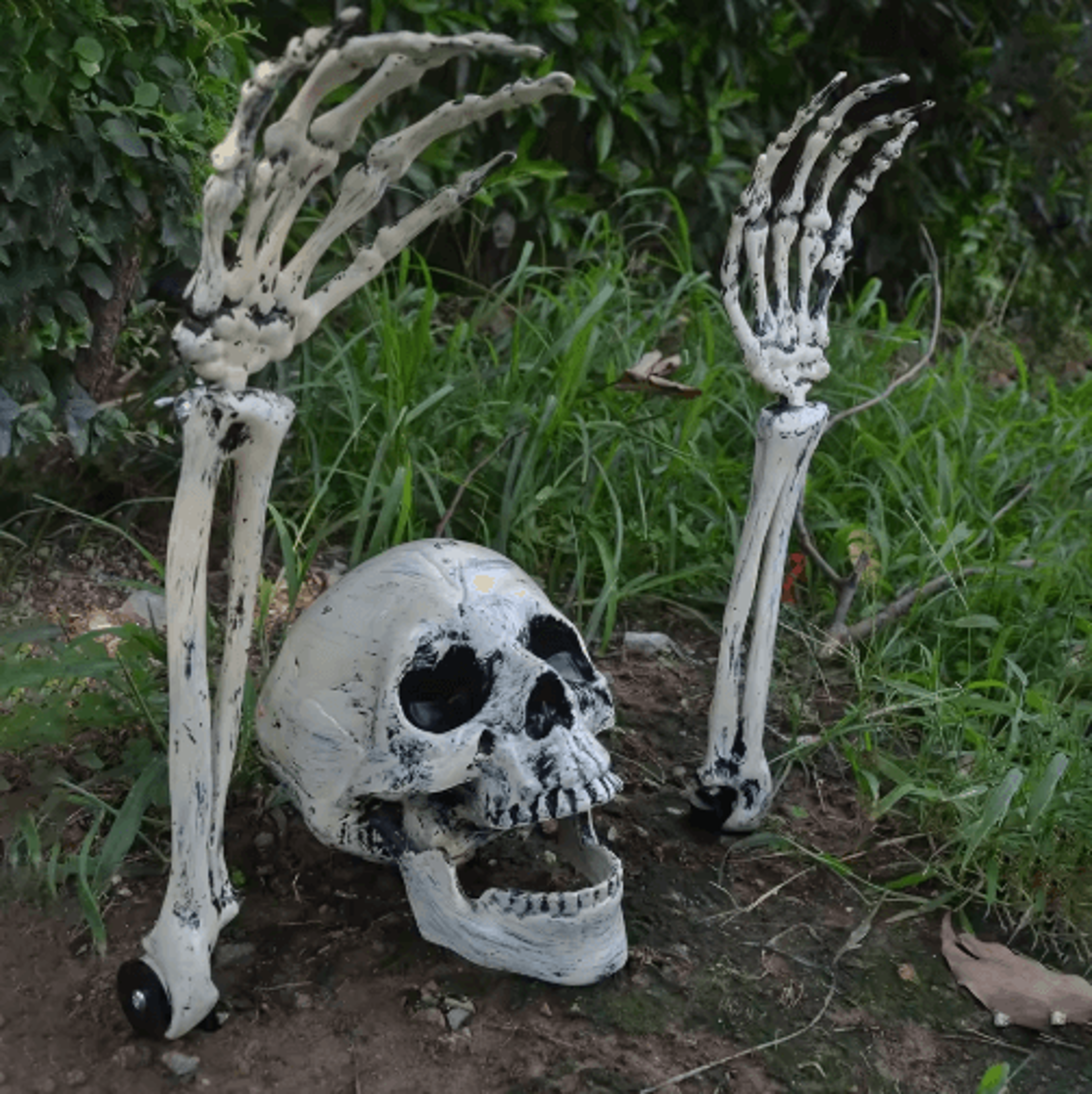 16Piece Skeleton Bone Garden Stakes  Skull Head  Ghost Hand Halloween Yard Decorations 0