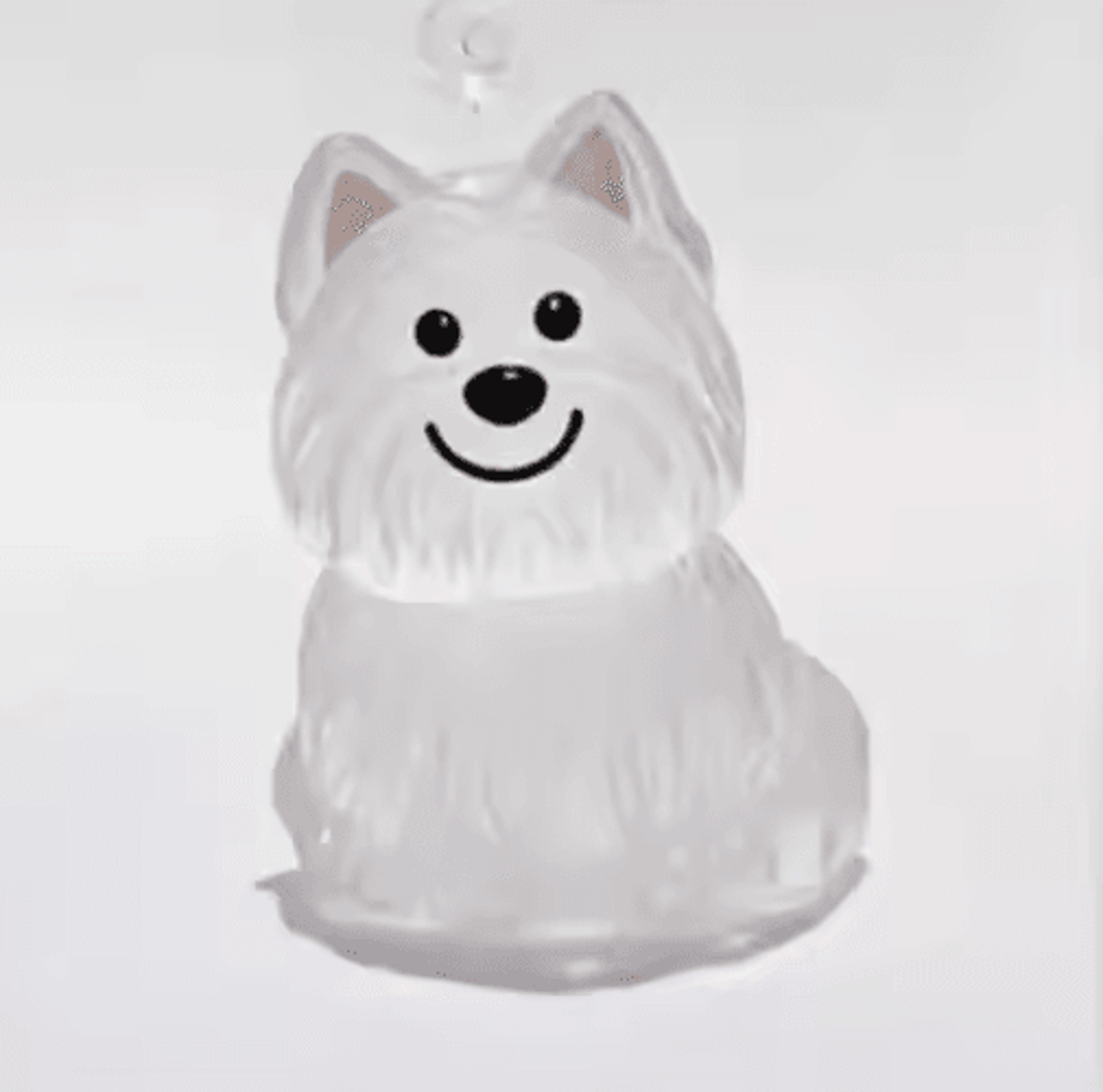 Pet Hair Memorial Keychain  Transparent Cat  Dog Fur Keepsake Storage Pendant For Pet Lovers 2