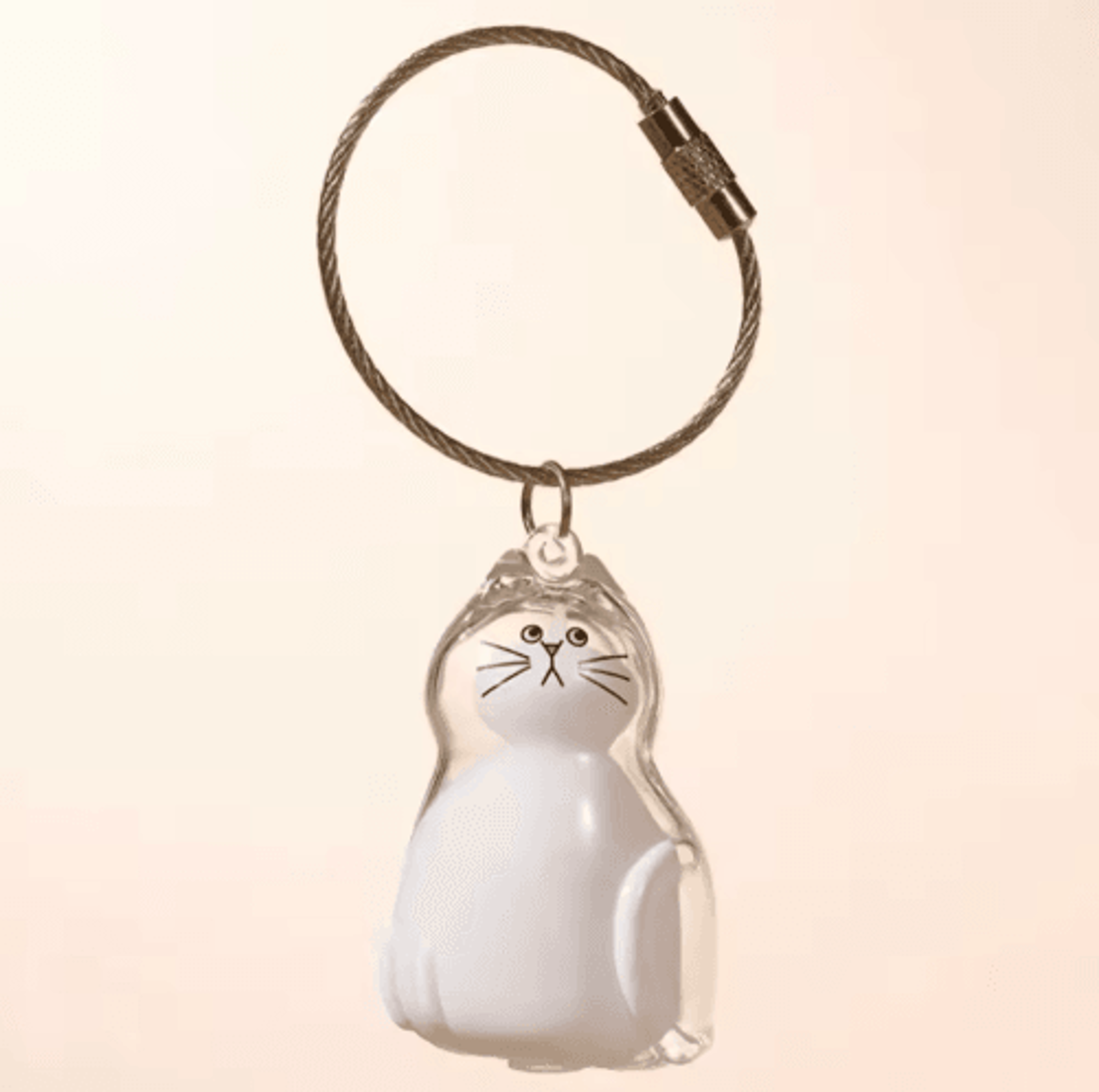 Pet Hair Memorial Keychain  Transparent Cat  Dog Fur Keepsake Storage Pendant For Pet Lovers 5