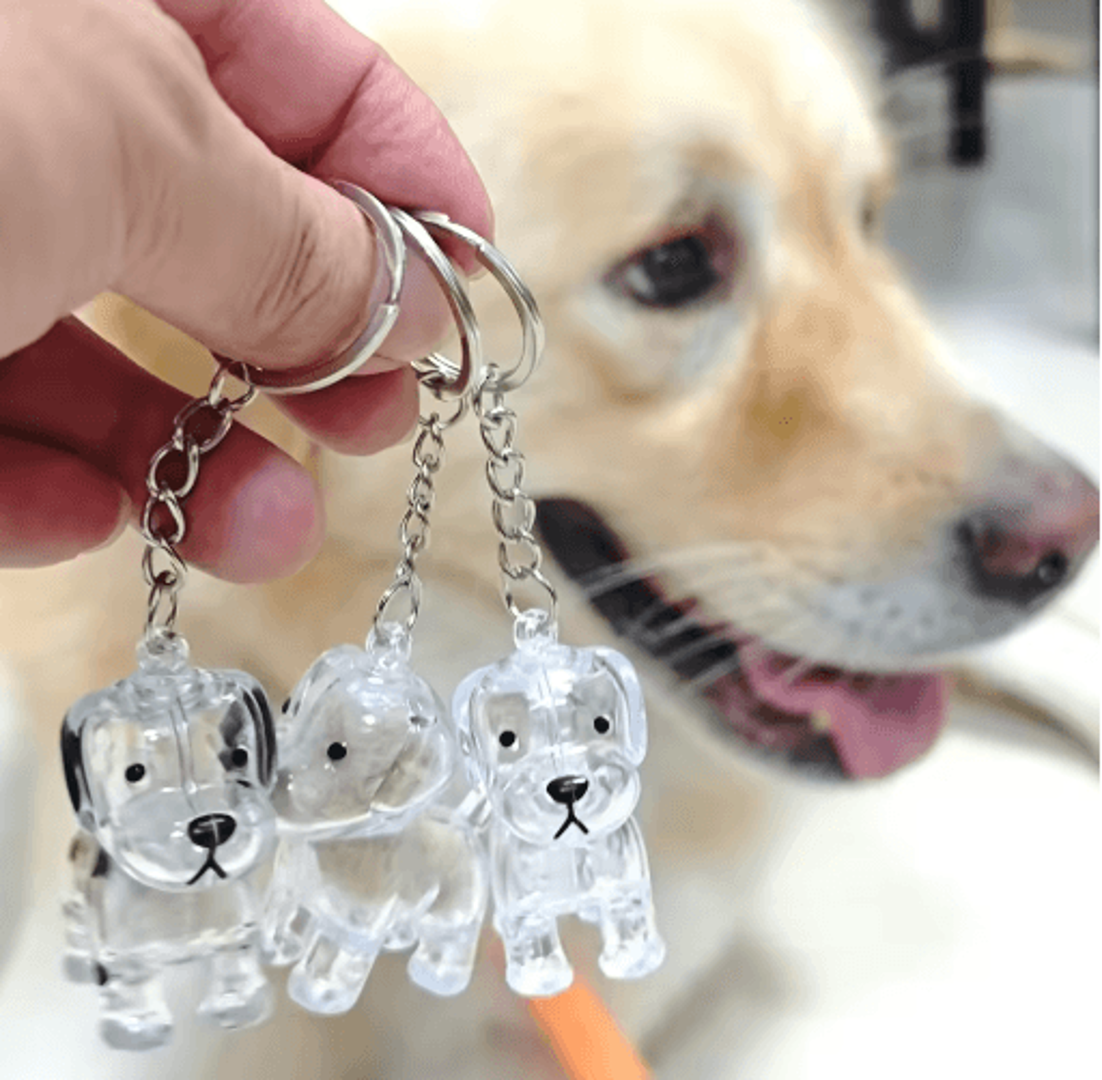 Pet Hair Memorial Keychain  Transparent Cat  Dog Fur Keepsake Storage Pendant For Pet Lovers 14