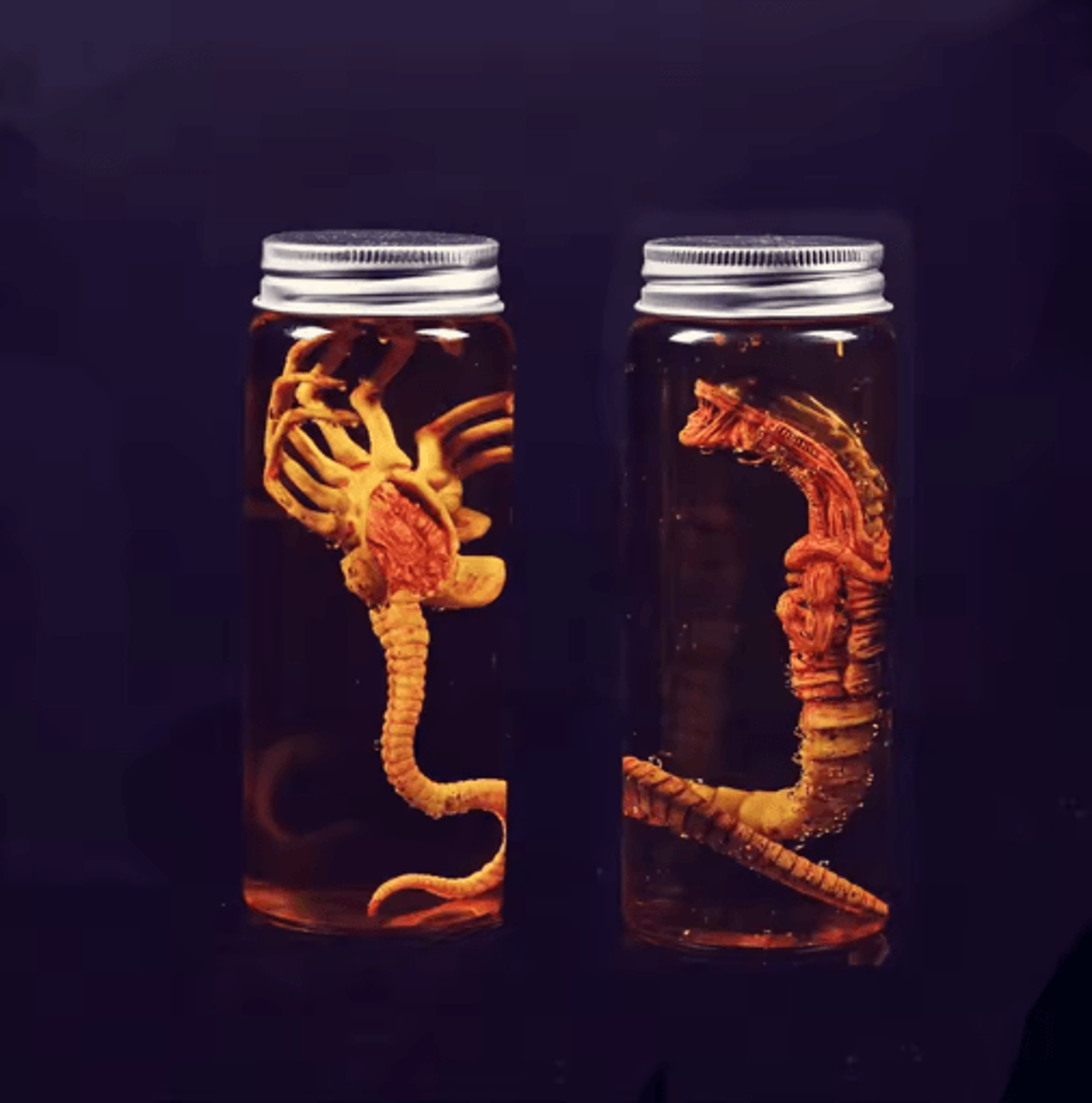Xenomorph Facehugger Specimen Jar SciFi Prop Replica 5