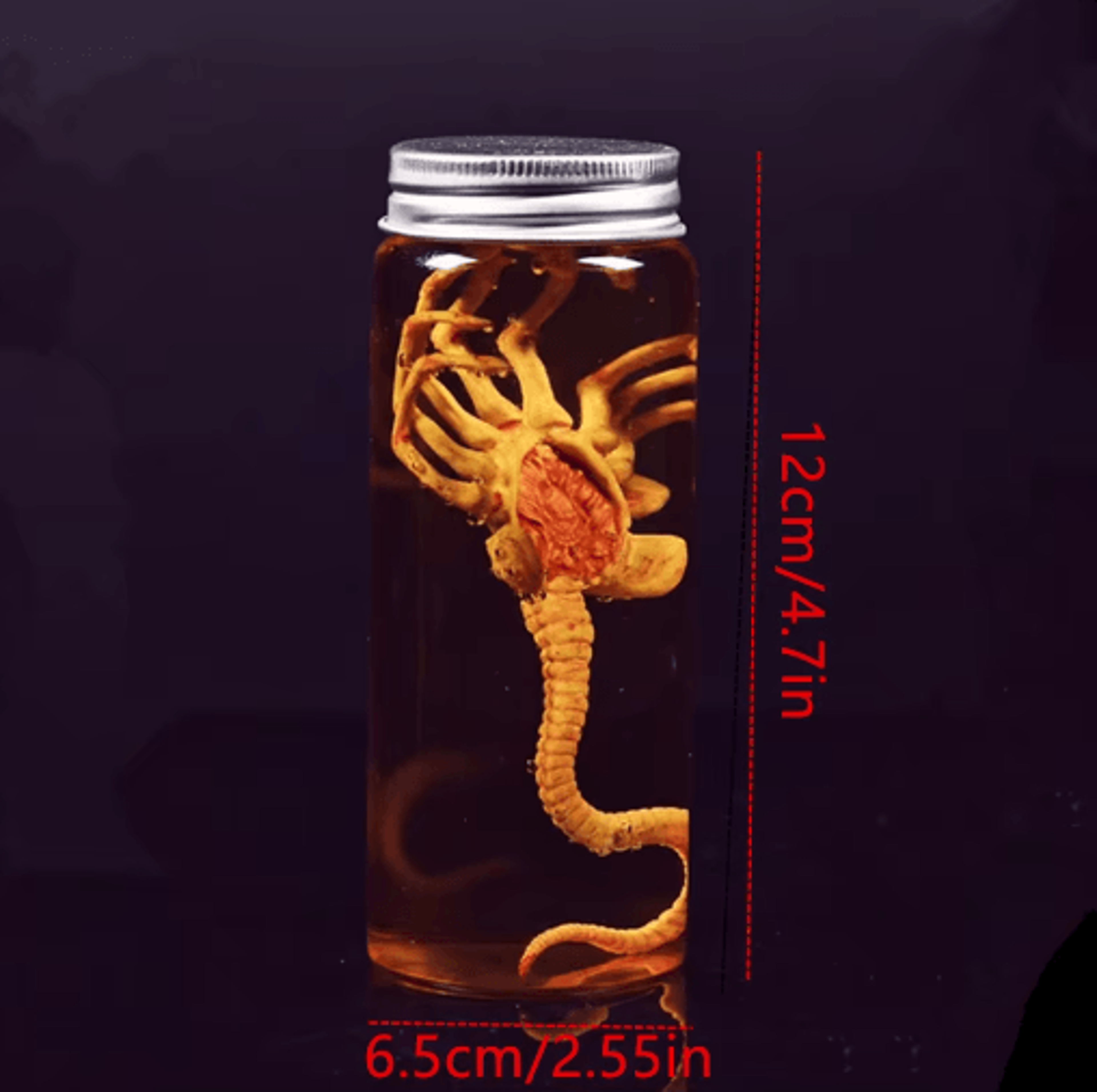 Xenomorph Facehugger Specimen Jar SciFi Prop Replica 6