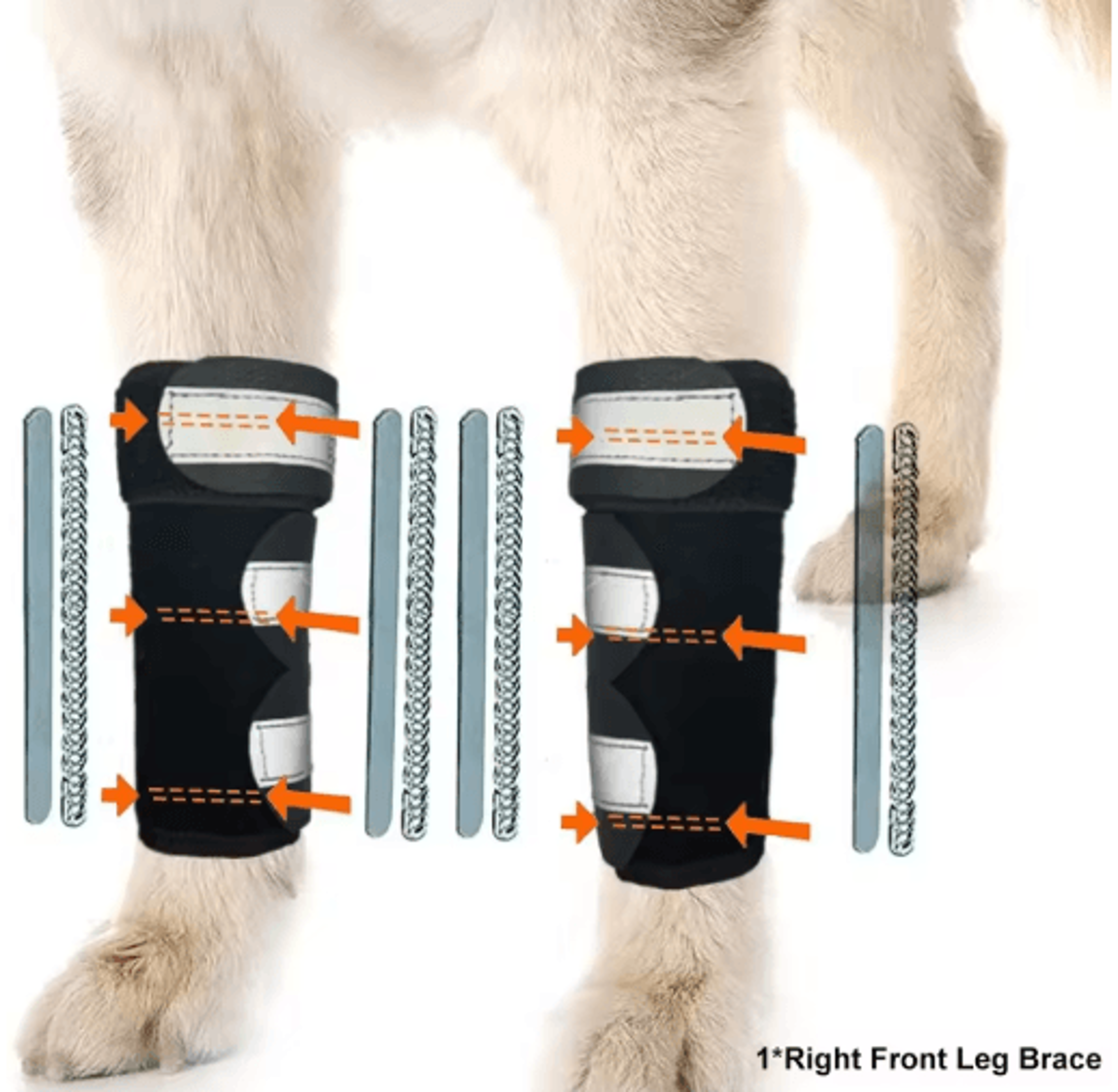 Adjustable Dog Front Leg Brace With Metal Support Strips 6