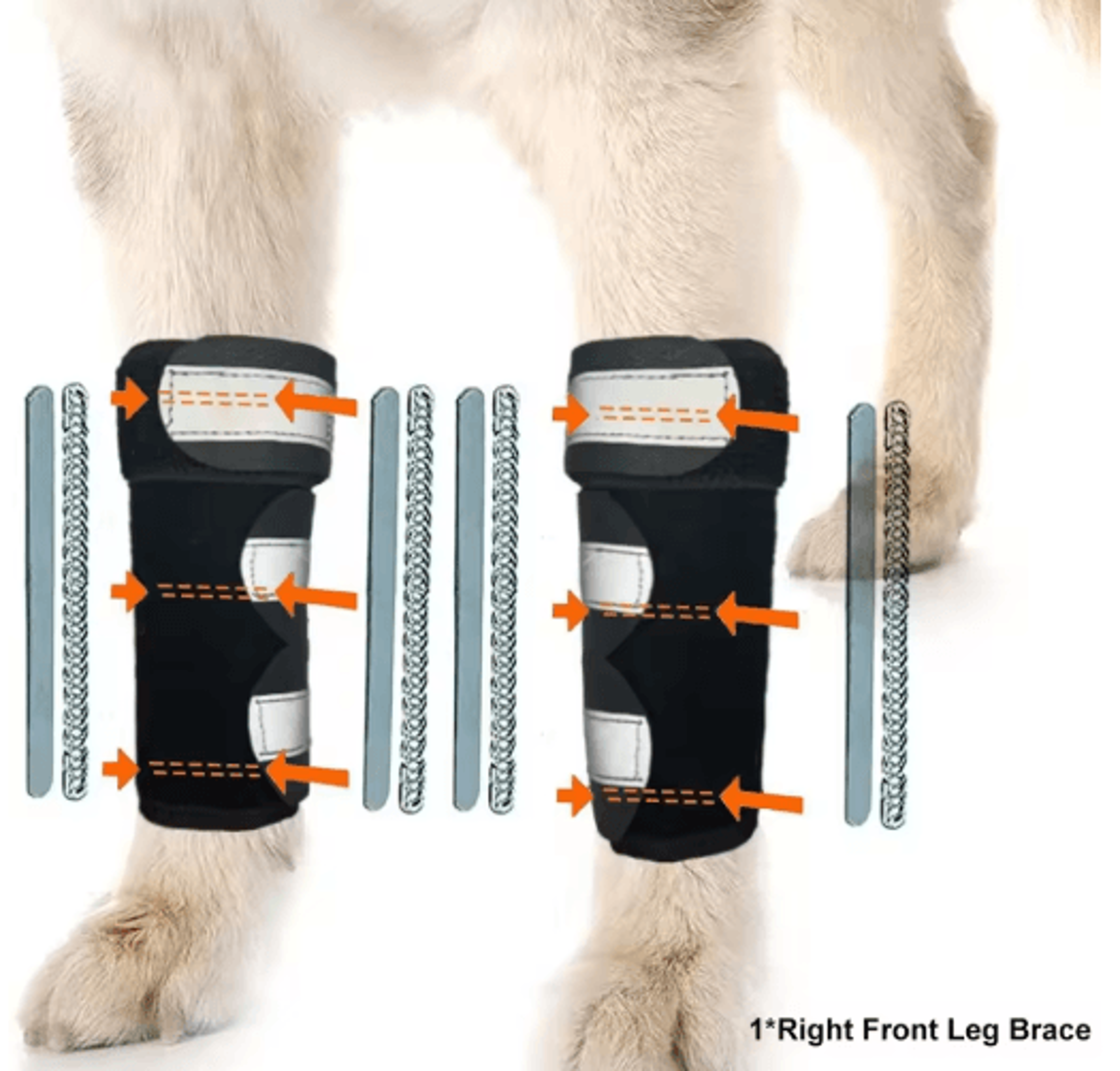 Adjustable Dog Front Leg Brace With Metal Support Strips 5