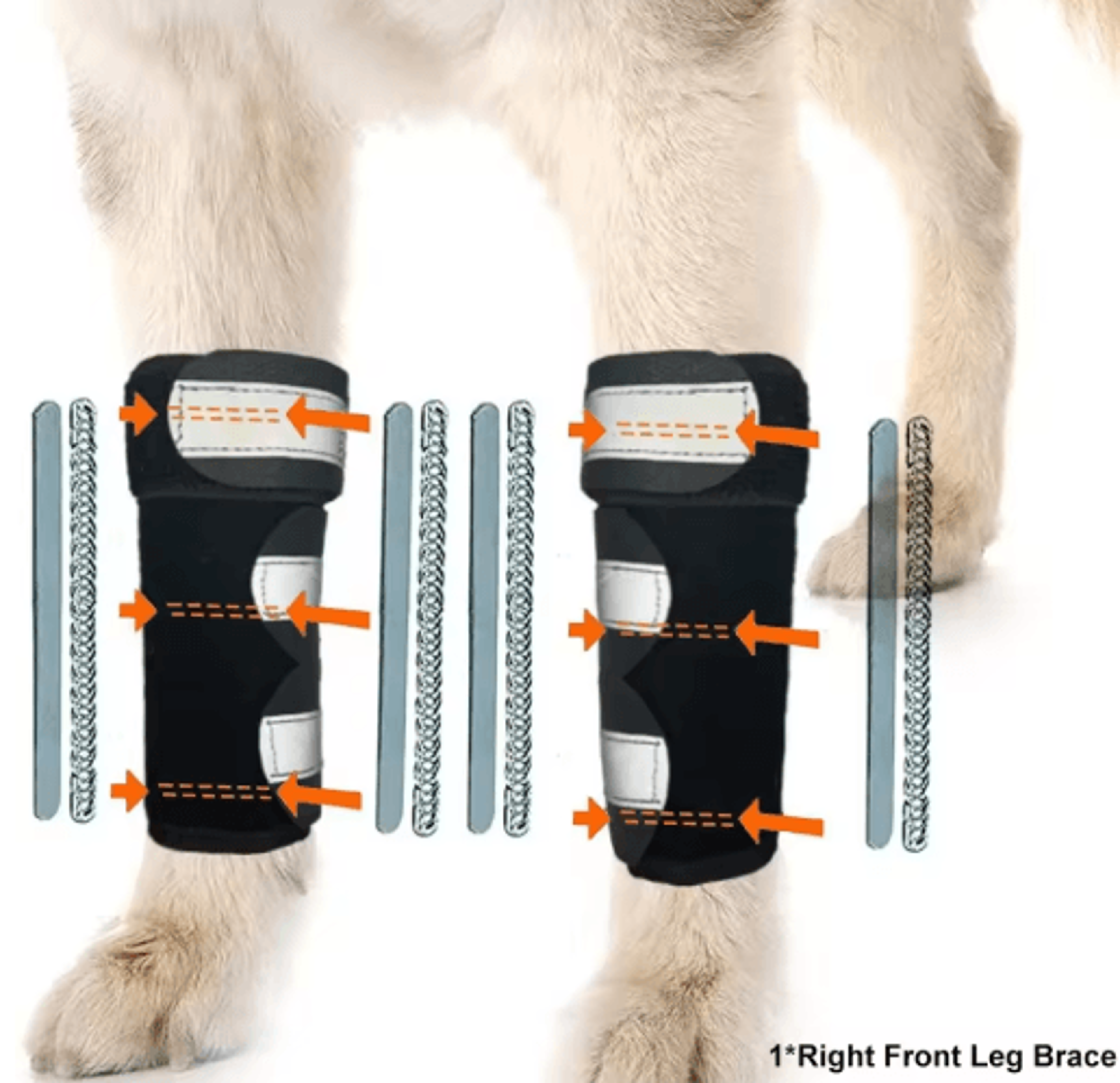 Adjustable Dog Front Leg Brace With Metal Support Strips 2