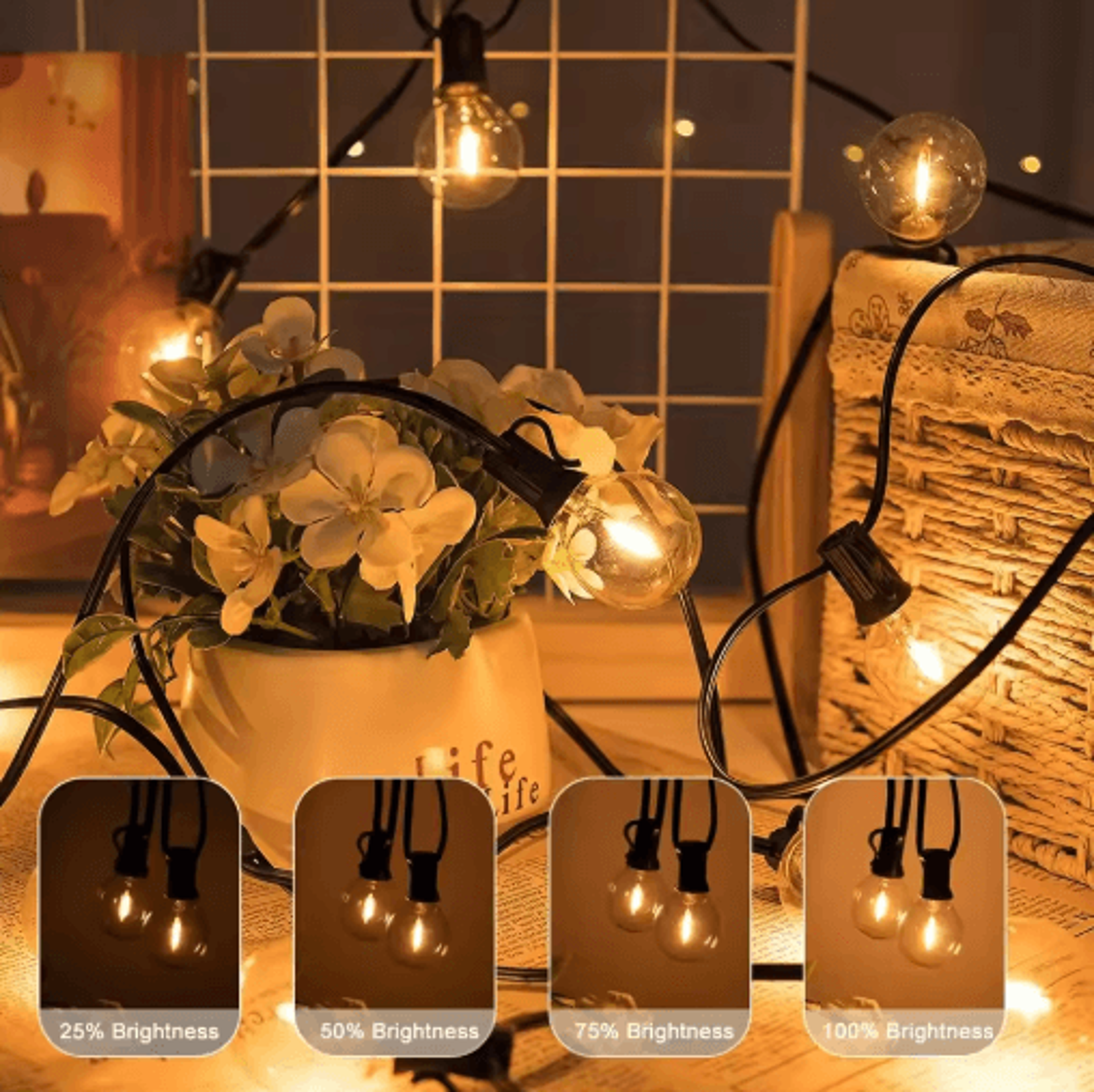 G40 Outdoor String Lights  Waterproof Shatterproof Festoon Lights With EU Plug 13