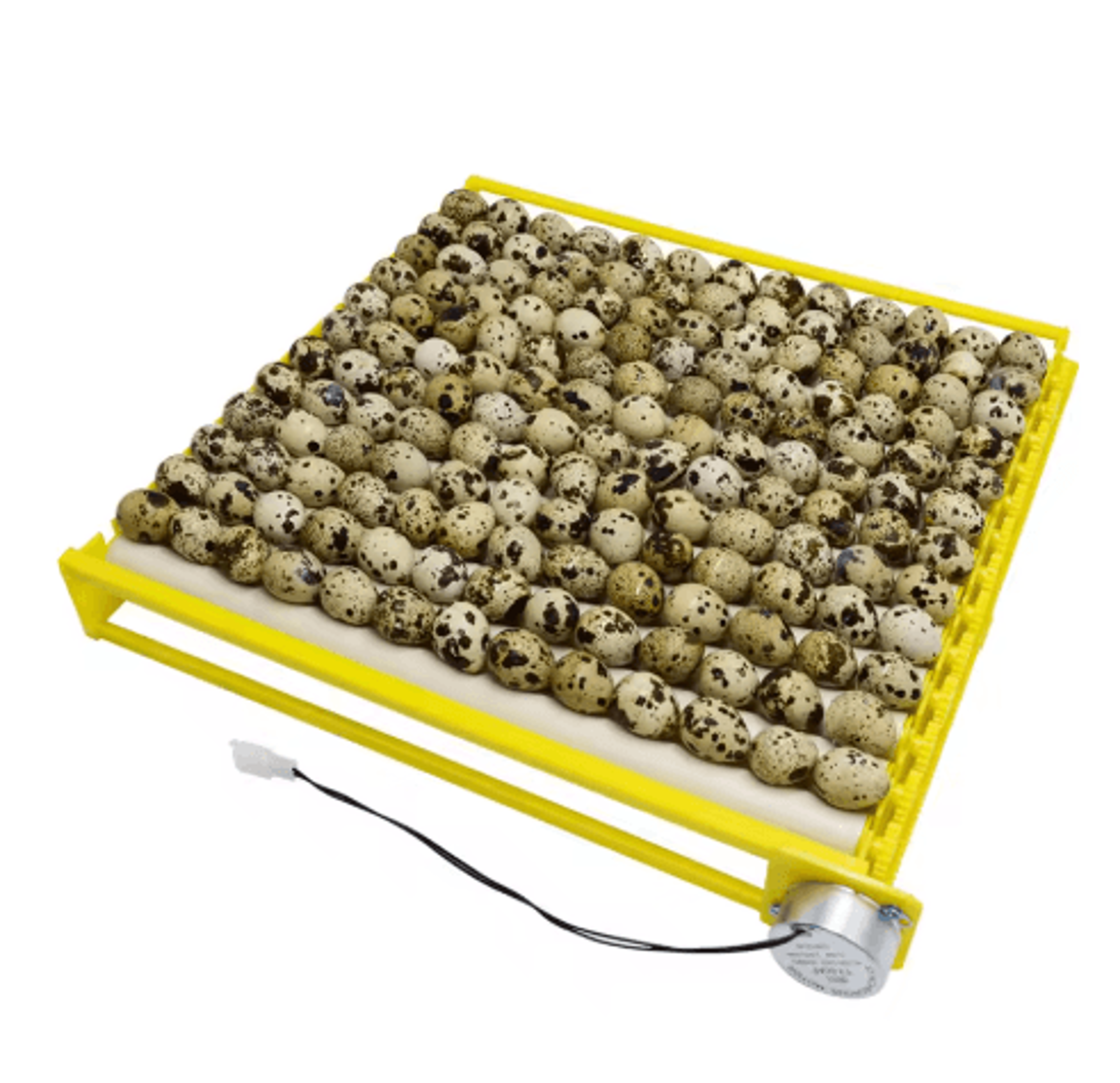 360 Automatic Egg Turner  Rotary Roller Tray For Poultry Incubators 5