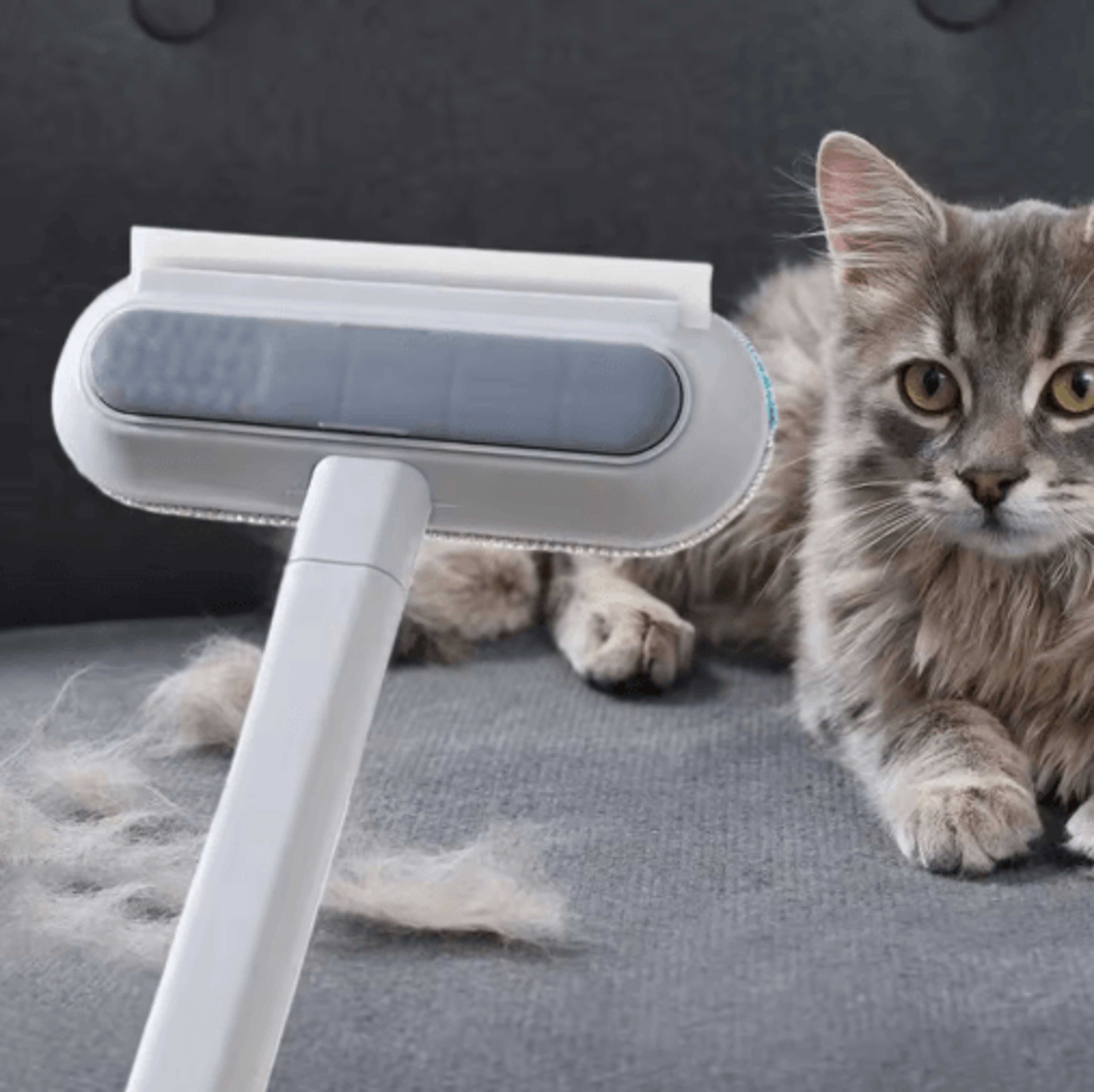 Long Handle Pet Hair Remover Brush  Reusable Lint Cleaner For Clothes  Carpet 8