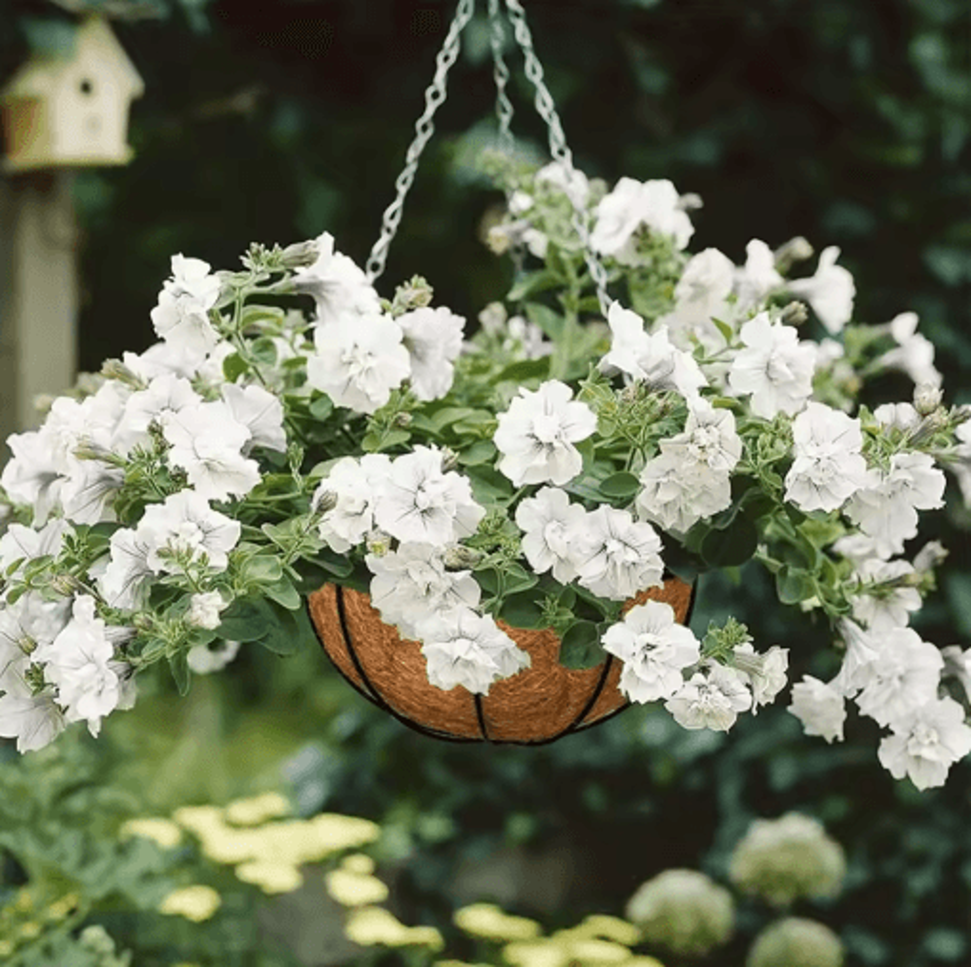 Natural Coconut Hanging Basket Liner  Round Coco Planter Replacement 9