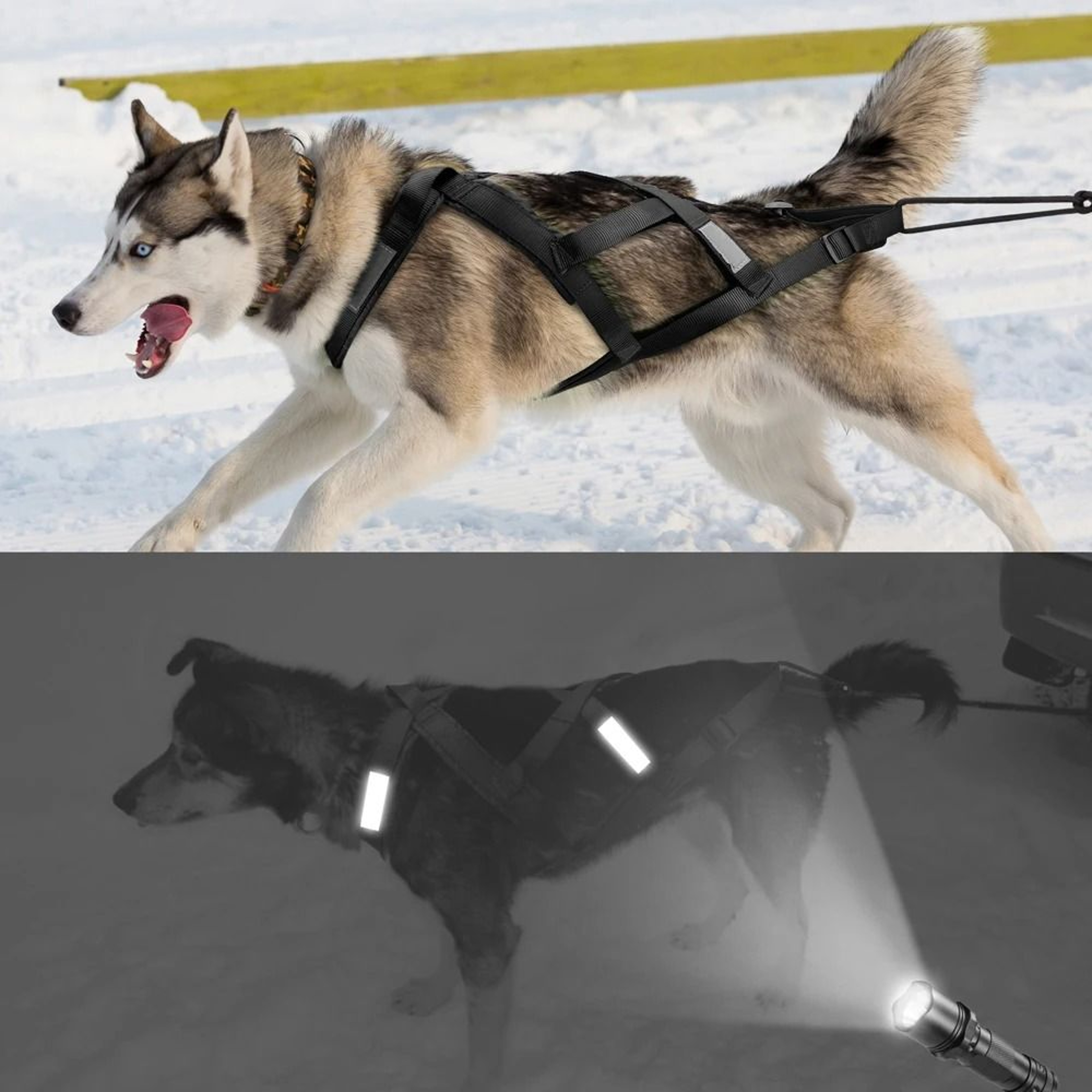 Waterproof Reflective Dog Sledding Harness Weight Pulling Vest 3