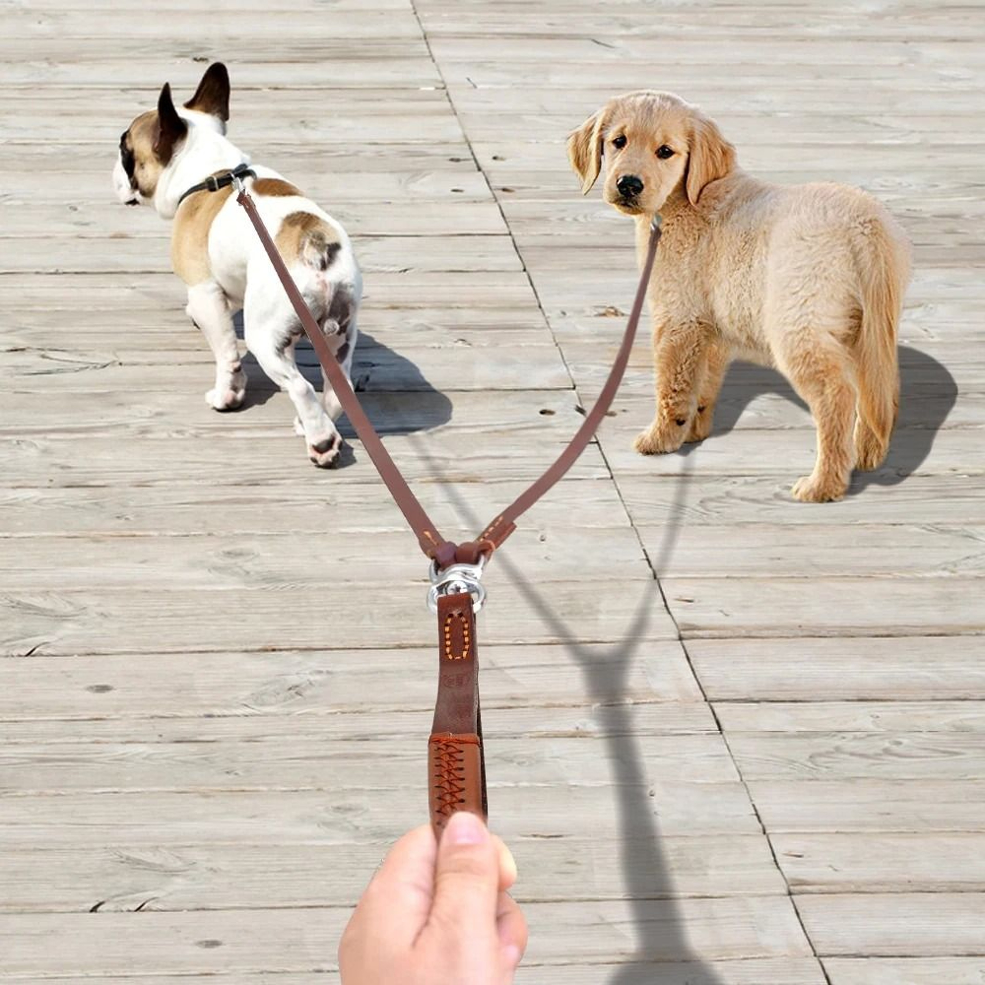 Two Way No Tangle Double Dog Leash For Walking And Training 3