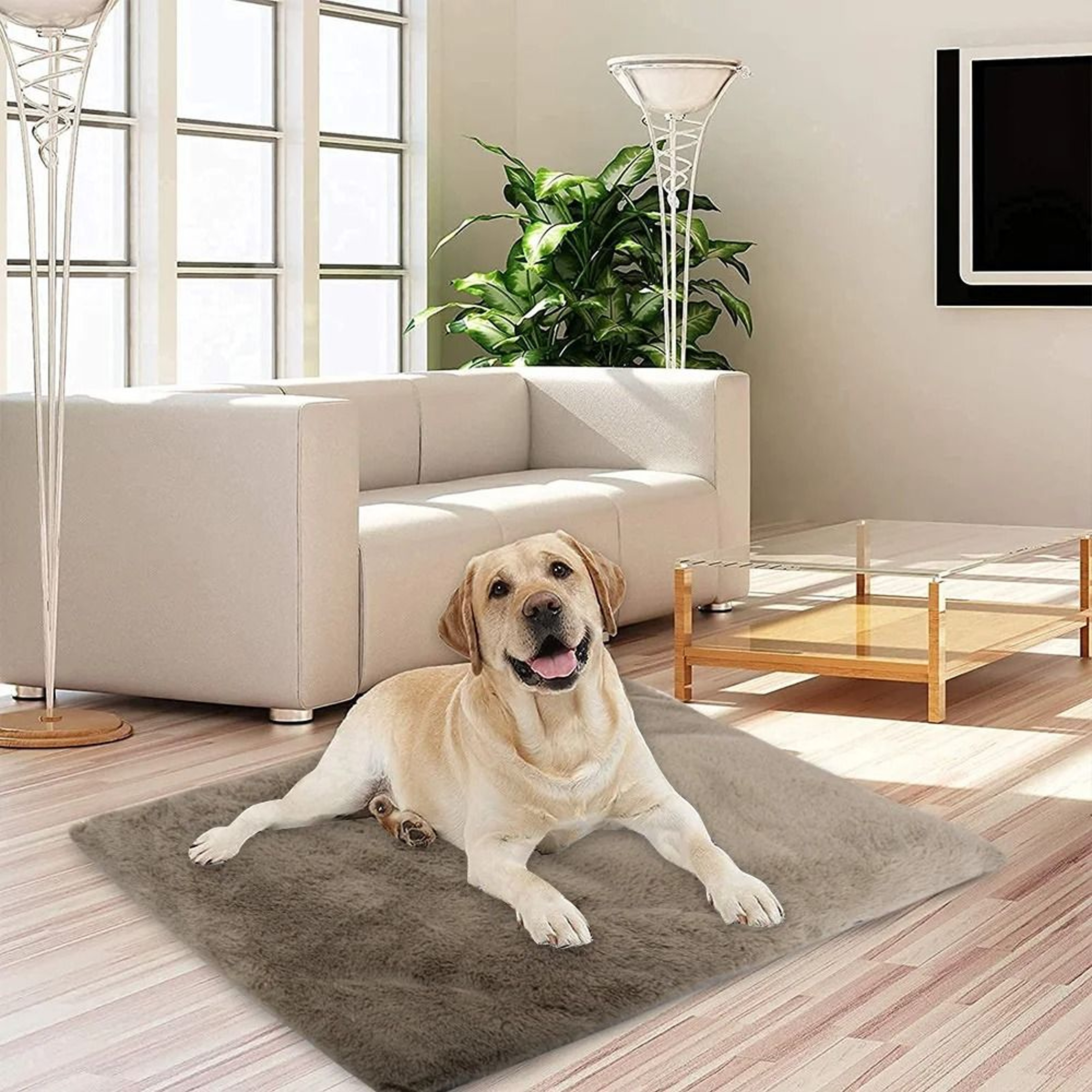 Soft Thick Washable Dog Bed Mat With Removable Cushion 7