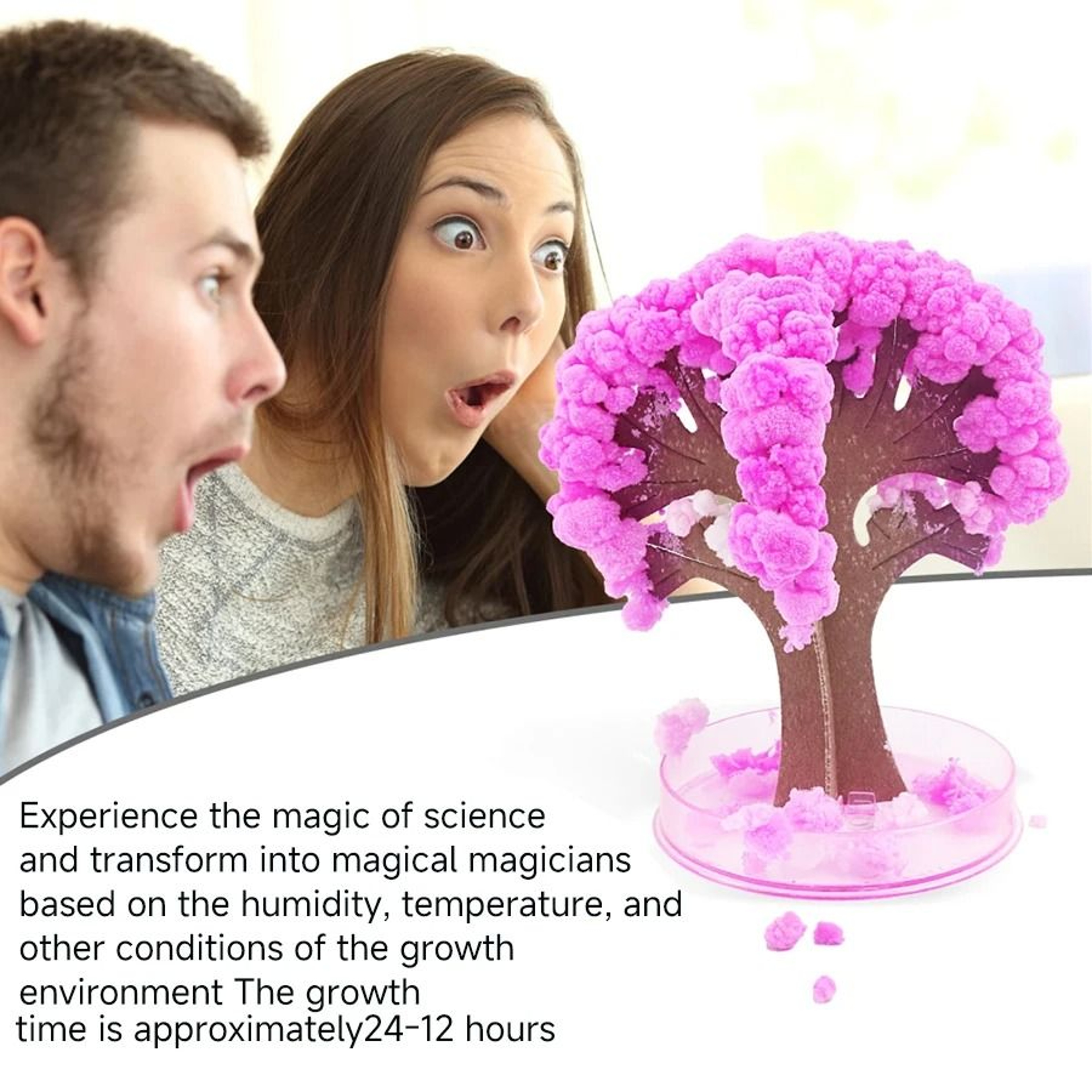 Magic Crystal Growing Christmas Tree Science Experiment Toy For Kids 11