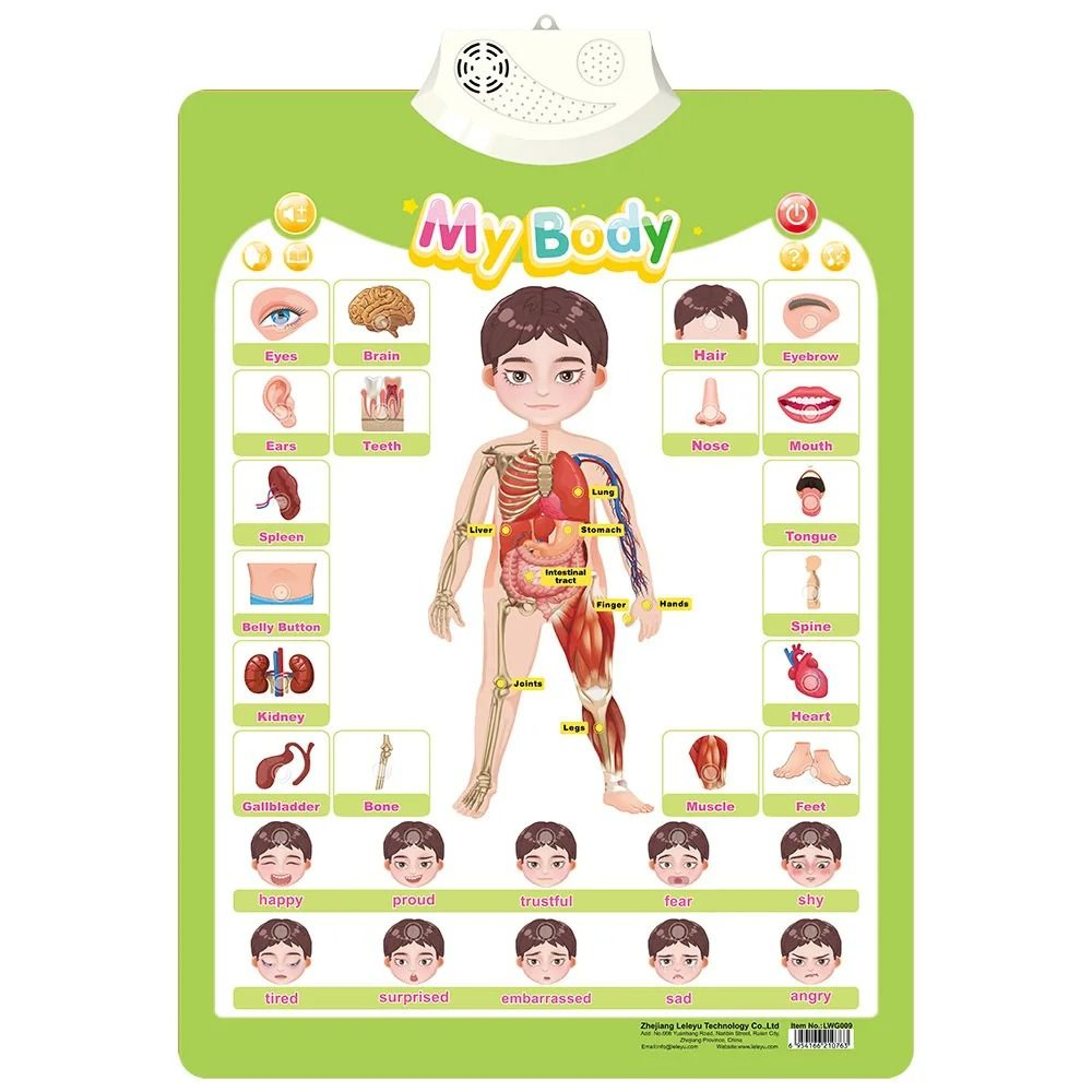 Electronic Alphabet Wall Chart Interactive ABC Learning Poster For Toddlers 8