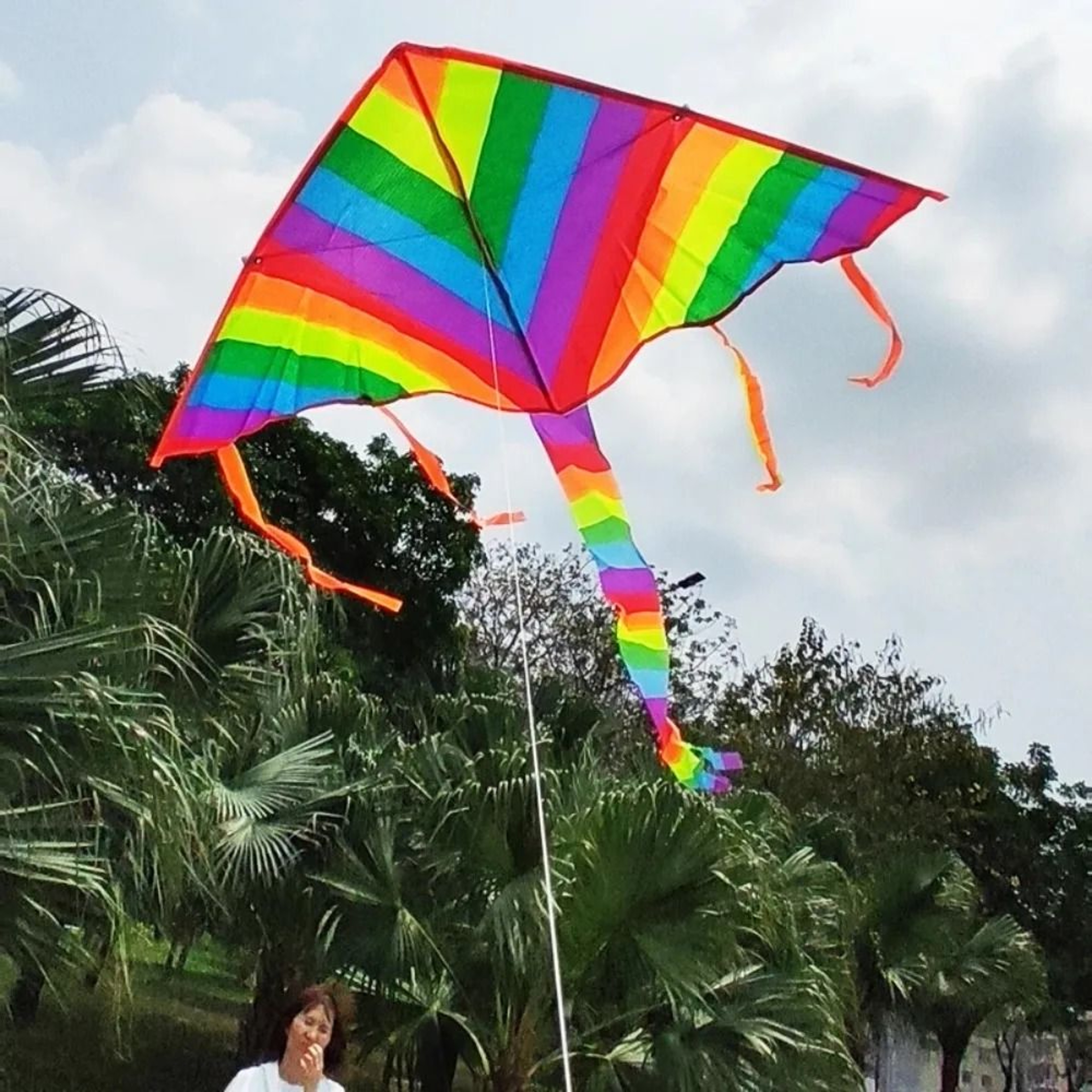 Easy Flying Rainbow Kite With Long Tail Outdoor Kids Toy 4