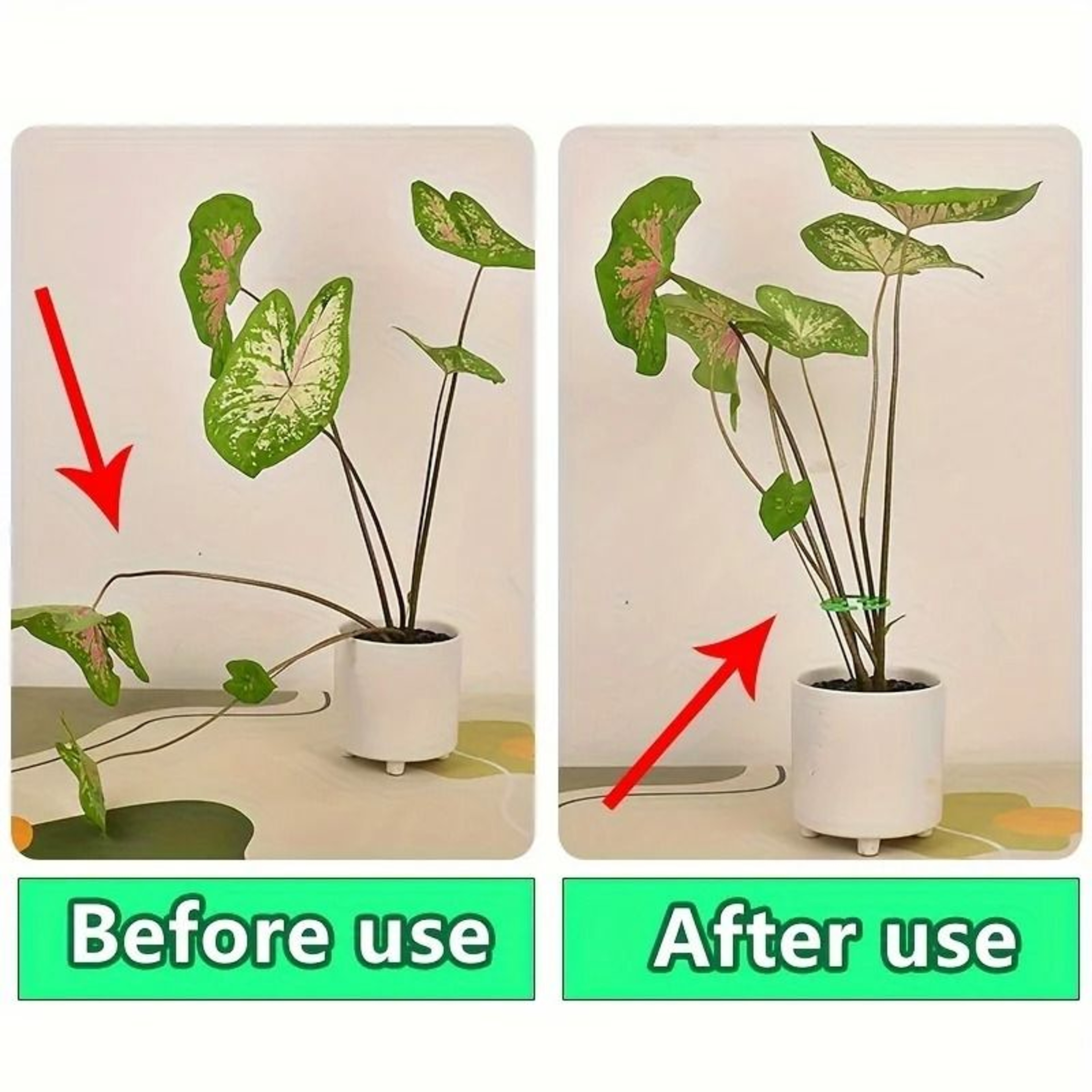 Green Turtle Back Plant Support Stakes Plastic Vertical Climbing Plant Support For Indoor And Outdo 3
