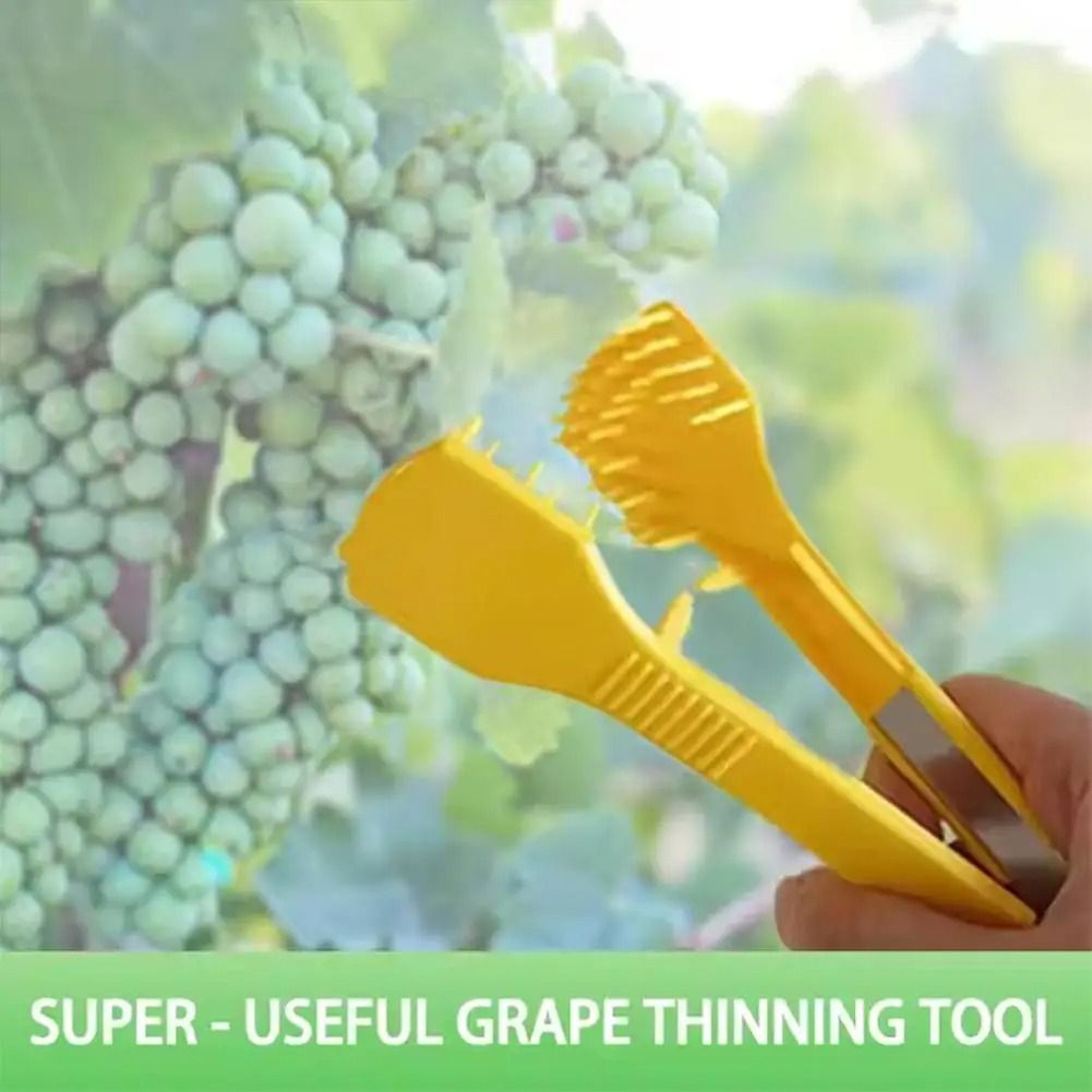Precision Grape Pruning Clippers Comfort Handle Gardening Pruning Shears 4