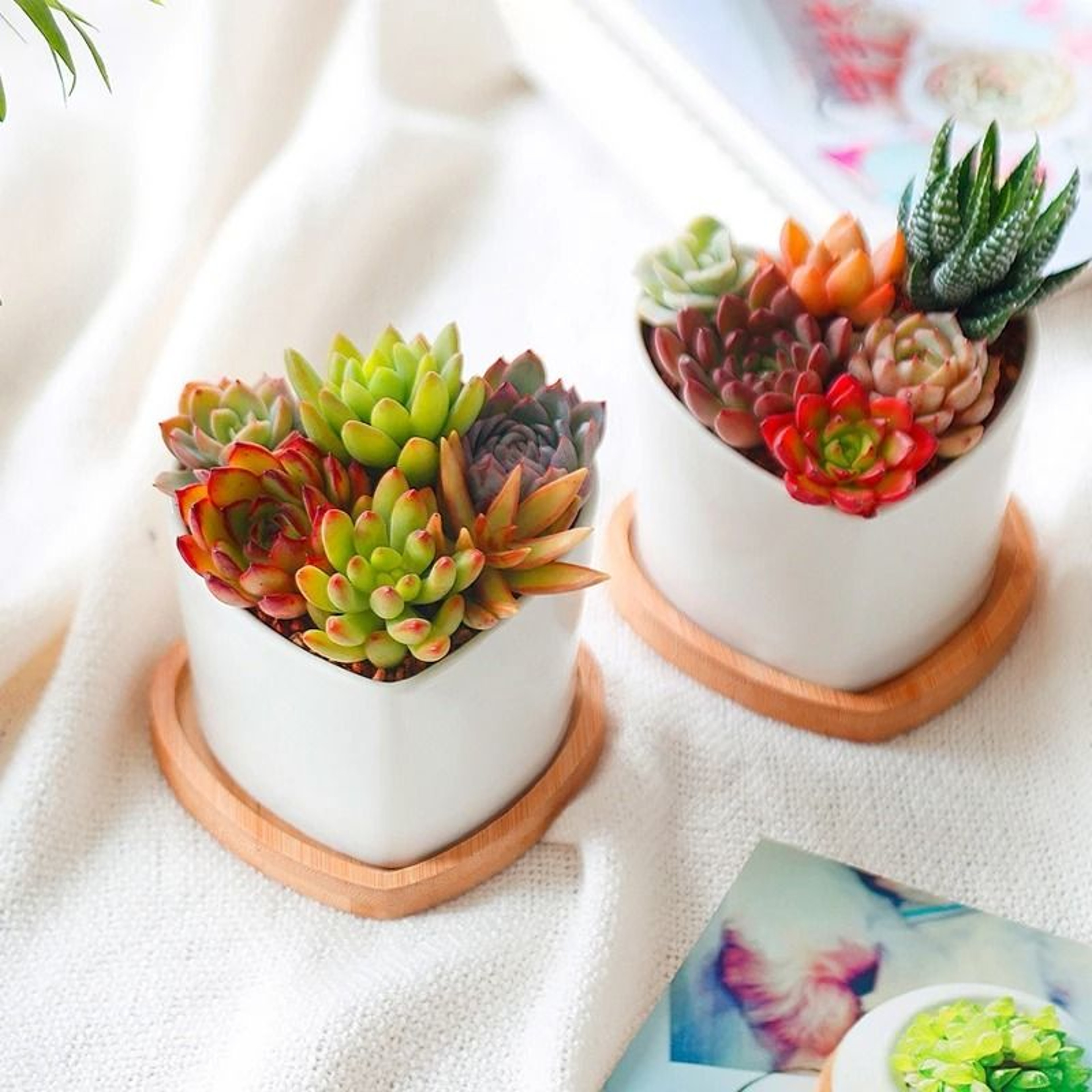 Mini Bamboo Tray Coaster Wood Saucer For Coffee Cups And Flower Pots 22
