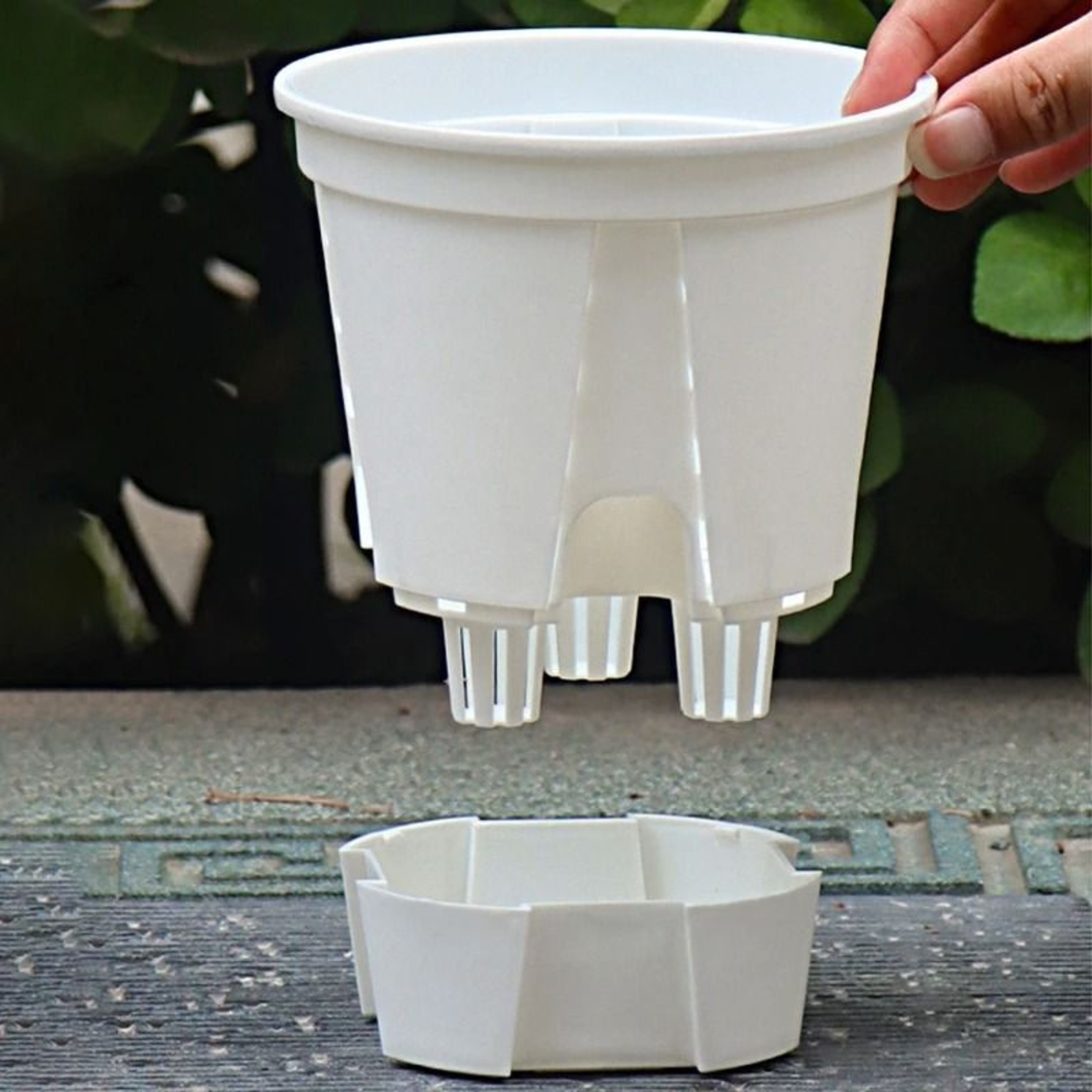 Transparent Self Watering Plant Pot With Drainage For Indoor Outdoor Plants 16