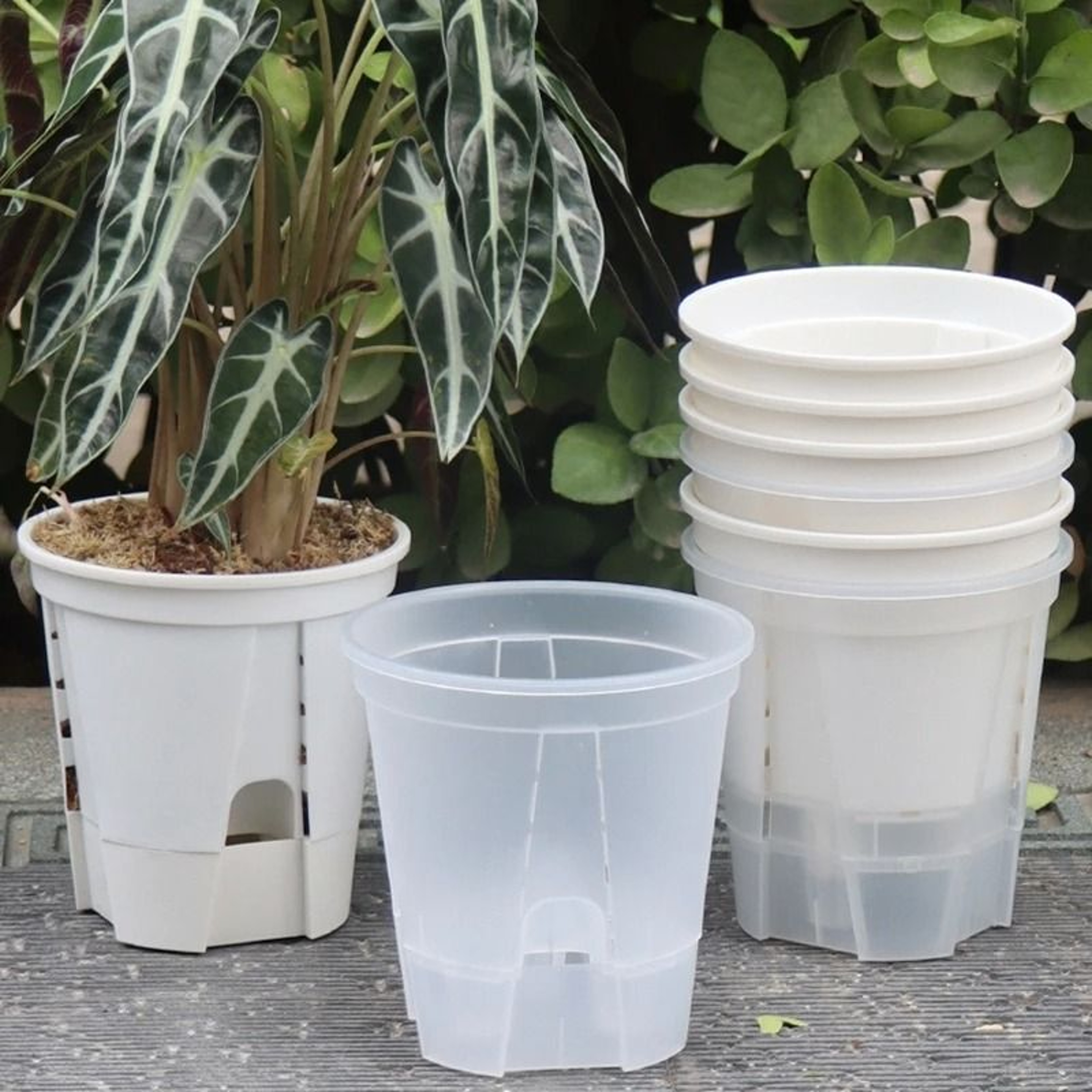 Transparent Self Watering Plant Pot With Drainage For Indoor Outdoor Plants 0