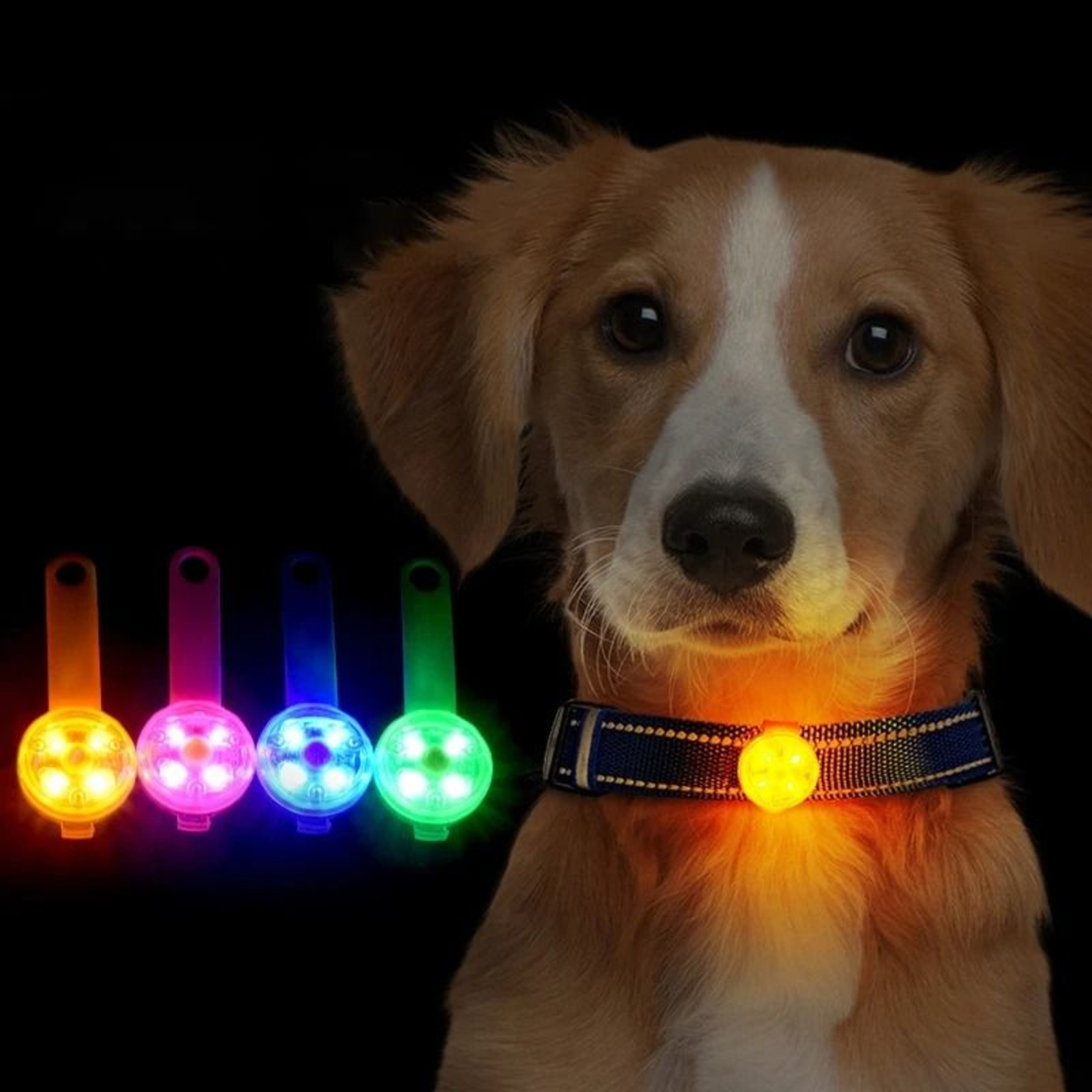 Rechargeable LED Dog Collar Light Night Safety Flash Pendantc 12
