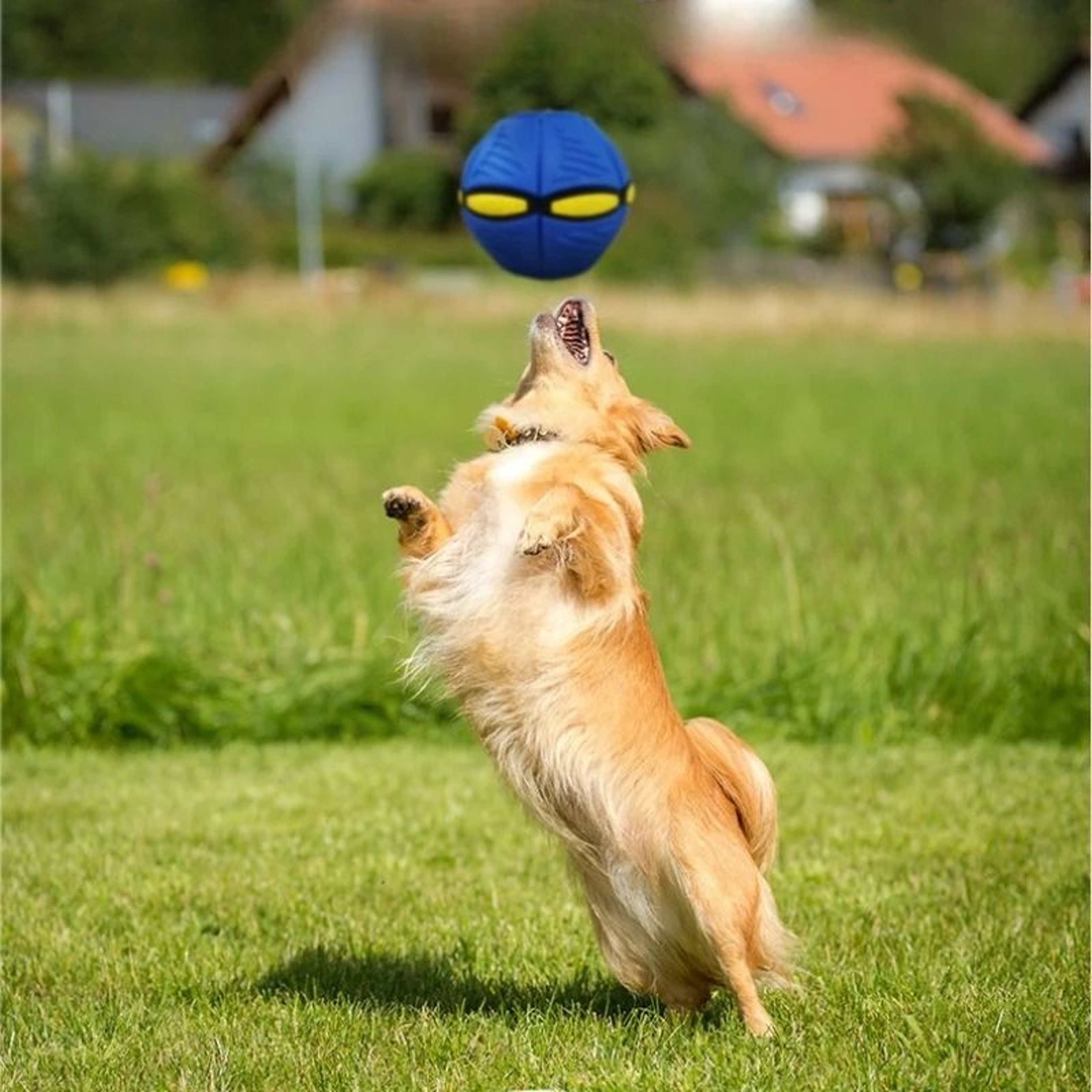 Flying Saucer Dog Bouncing Ball Durable Interactive Outdoor Pet Toy 6