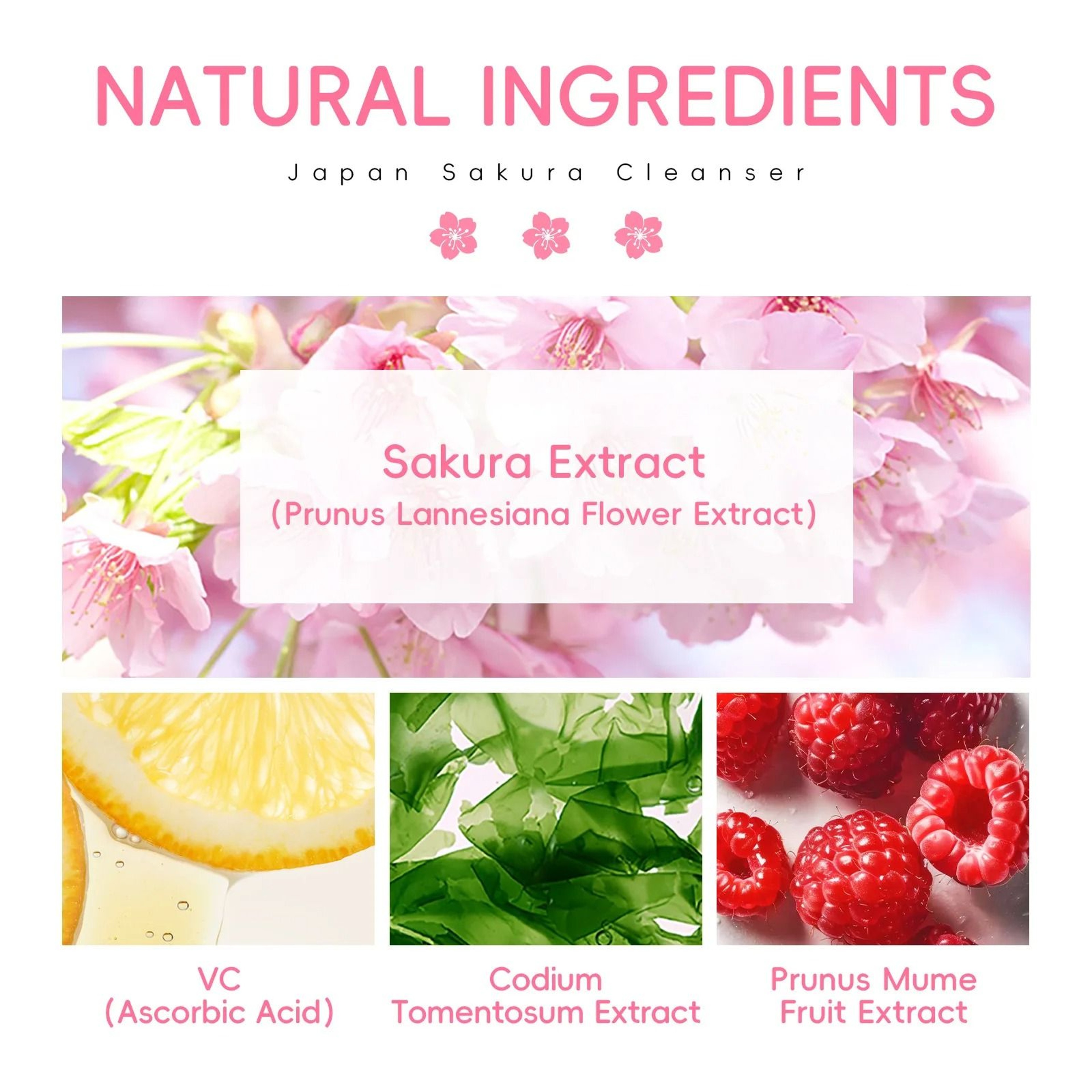 LAIKOU Sakura Gentle Facial Cleanser For Oil Control And Pore Care 4