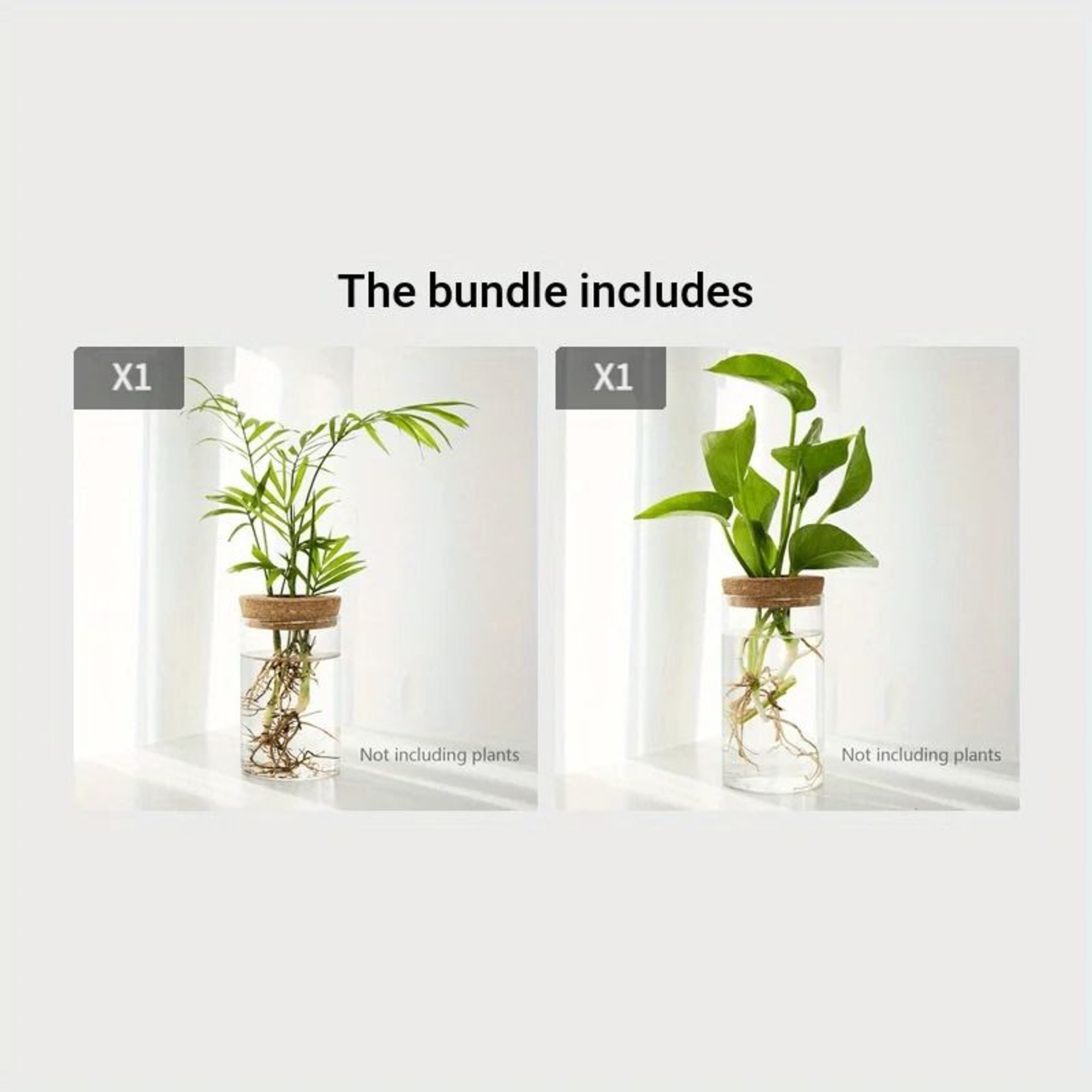 Desktop Hydroponic Plant Propagation Glass Vase 0