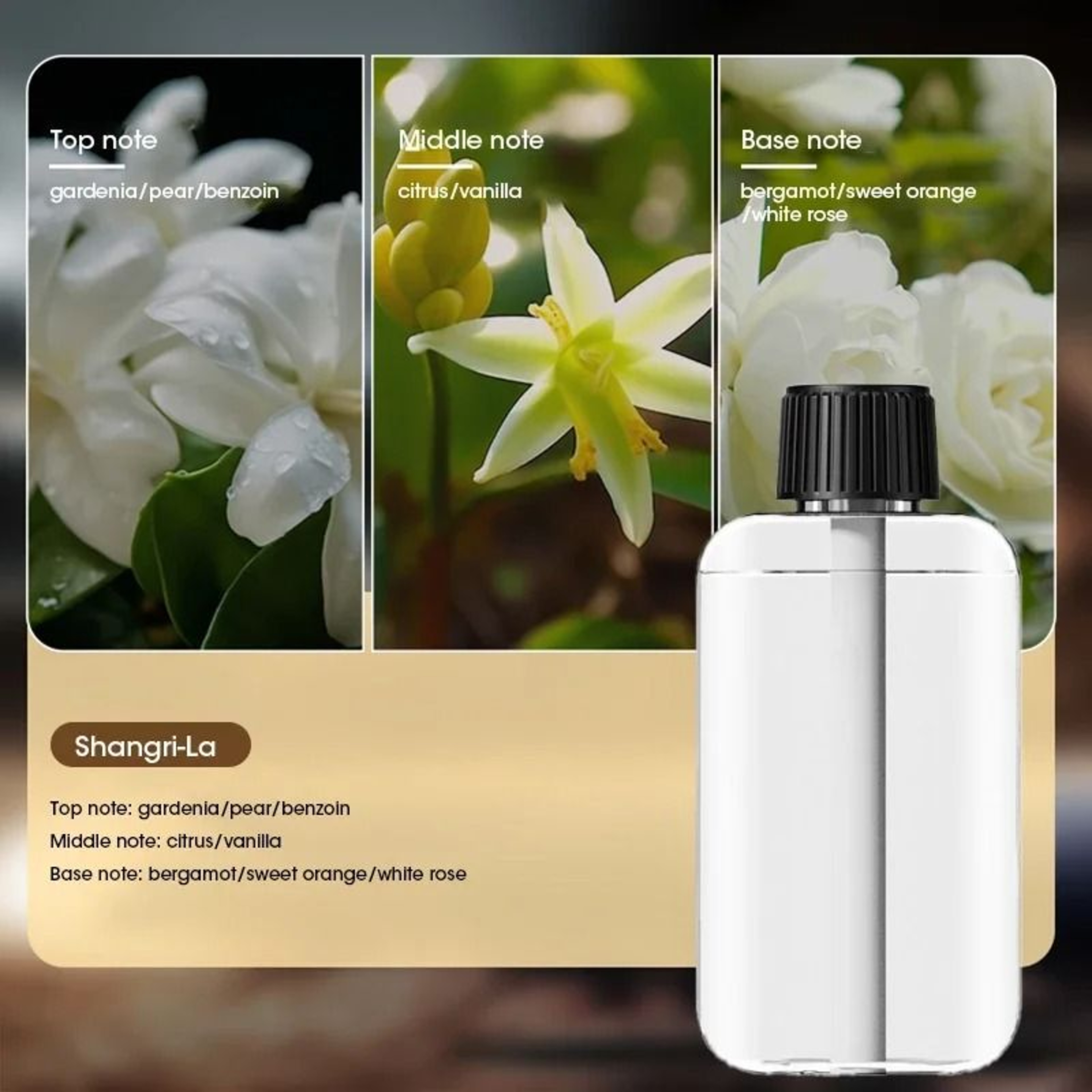AromaFlow Rechargeable Essential Oil Diffuser Portable Aromatic Diffuser For Home And Car With 5 Fr 1
