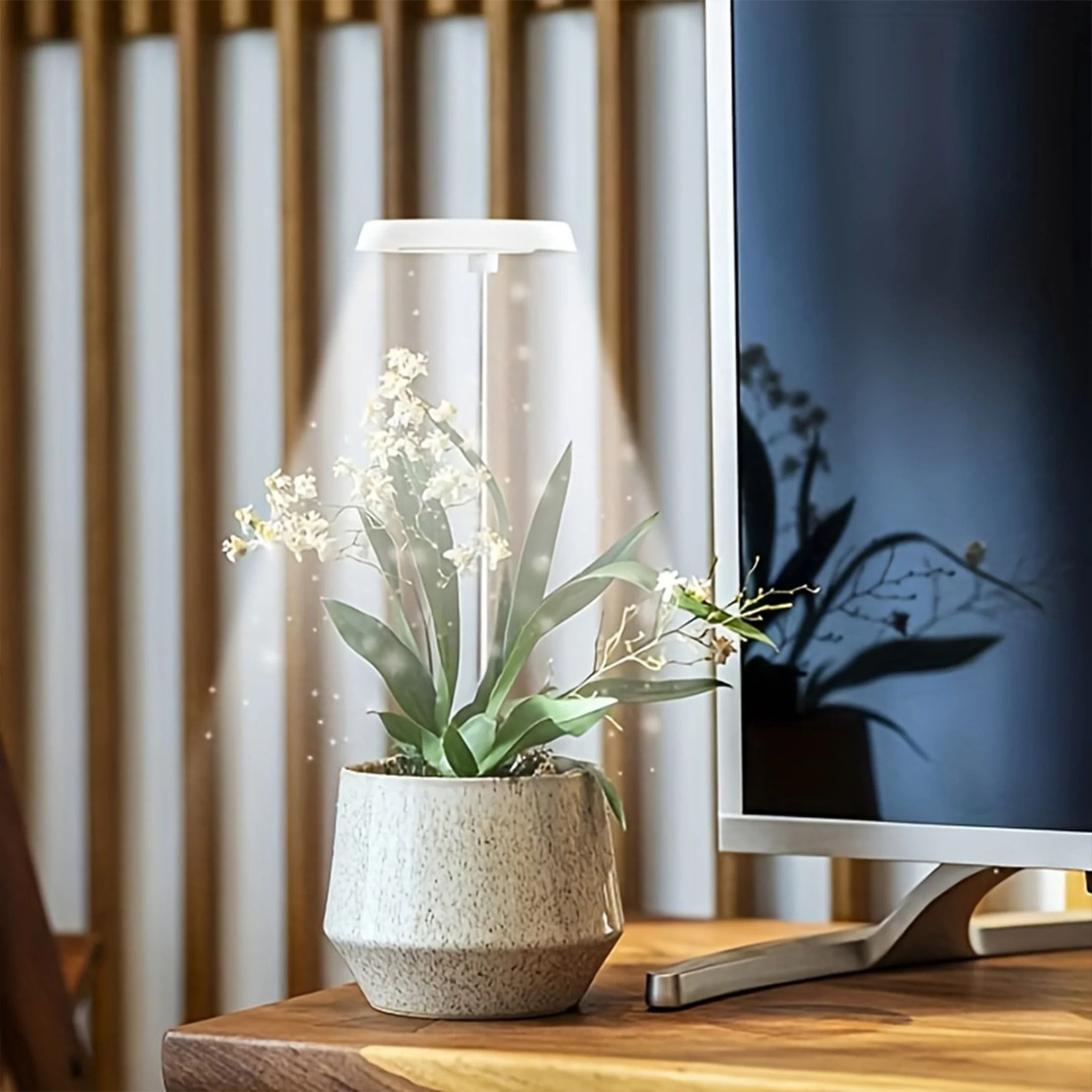 LED Grow Light Full Spectrum Adjustable Indoor Plant Ring Light With Timer 0