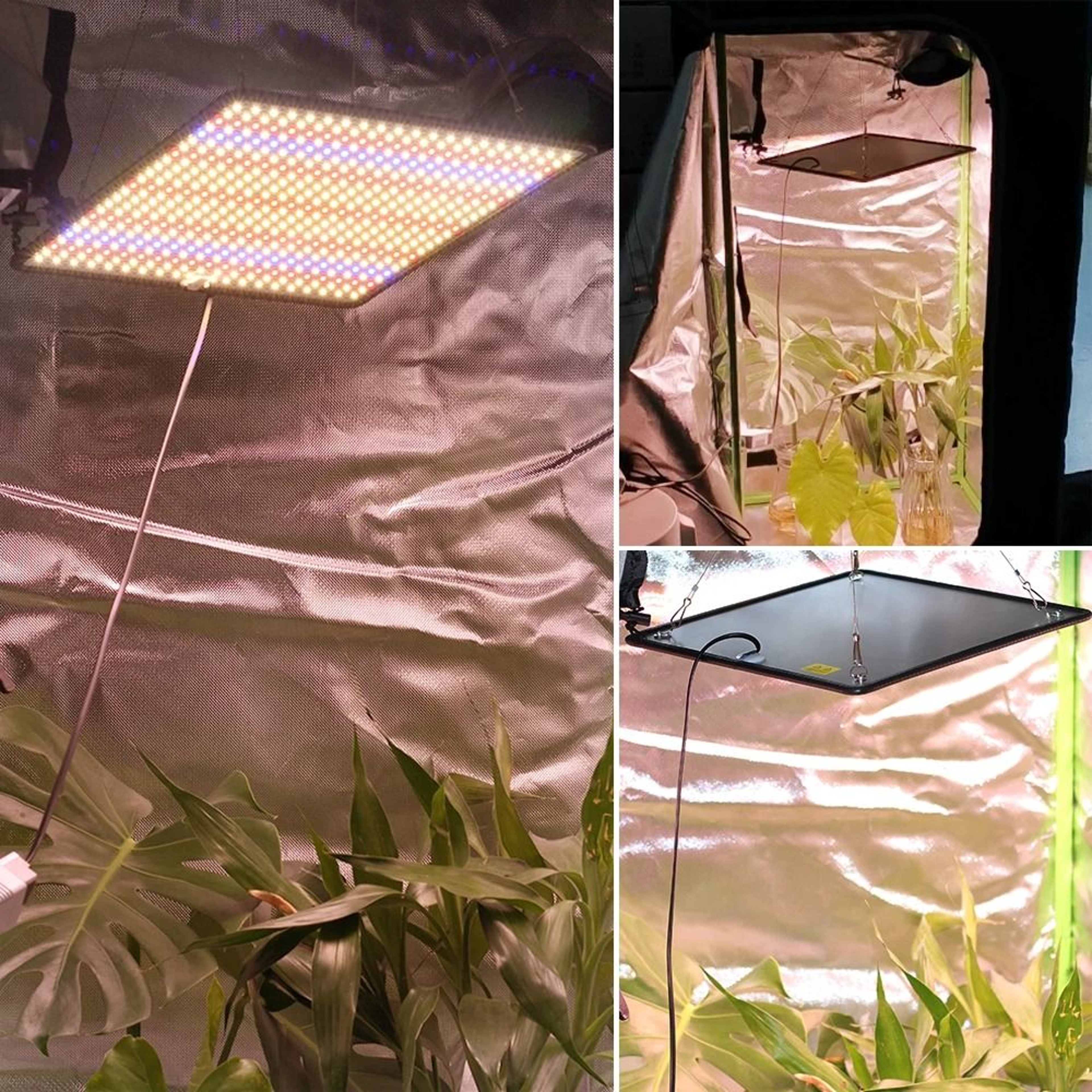 40W LED Grow Light Full Spectrum Plant Grow Lamp For Indoor Plants 0
