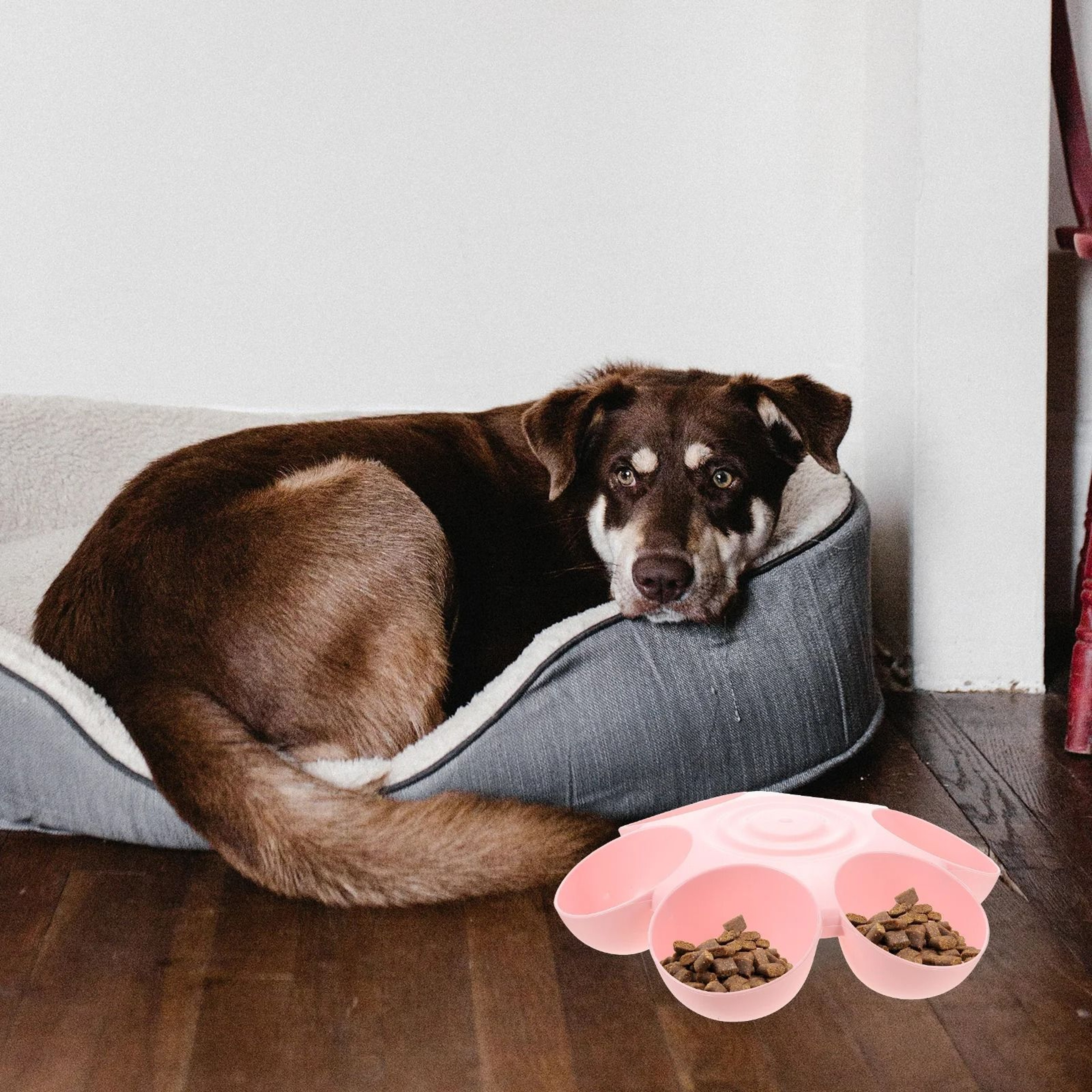 Automatic Pet Feeder With Water Dispenser Dual Dog Cat Feeding Bowl Station 0