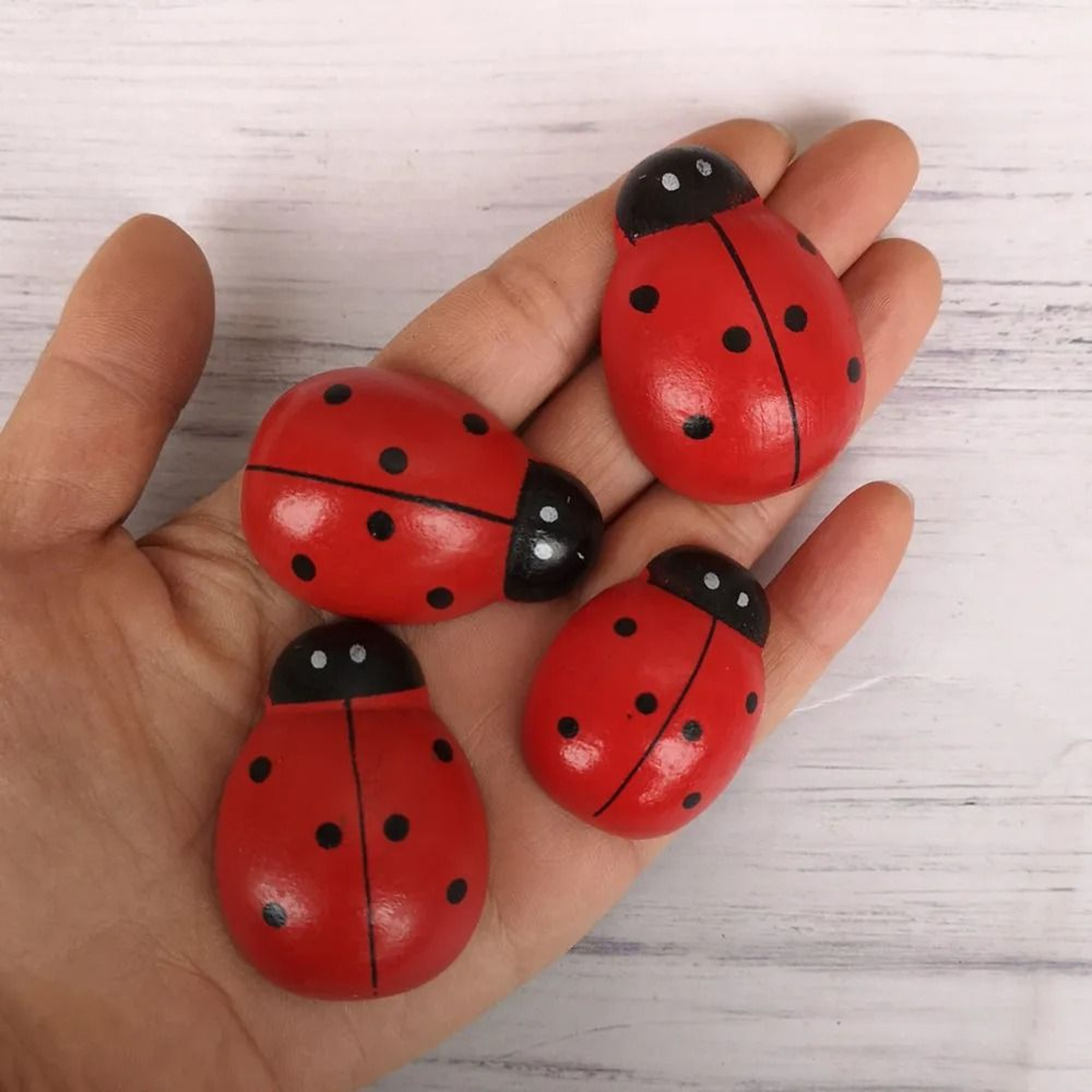 Wooden Ladybug Fairy Garden Decoration Miniature DIY Craft Ornament 9