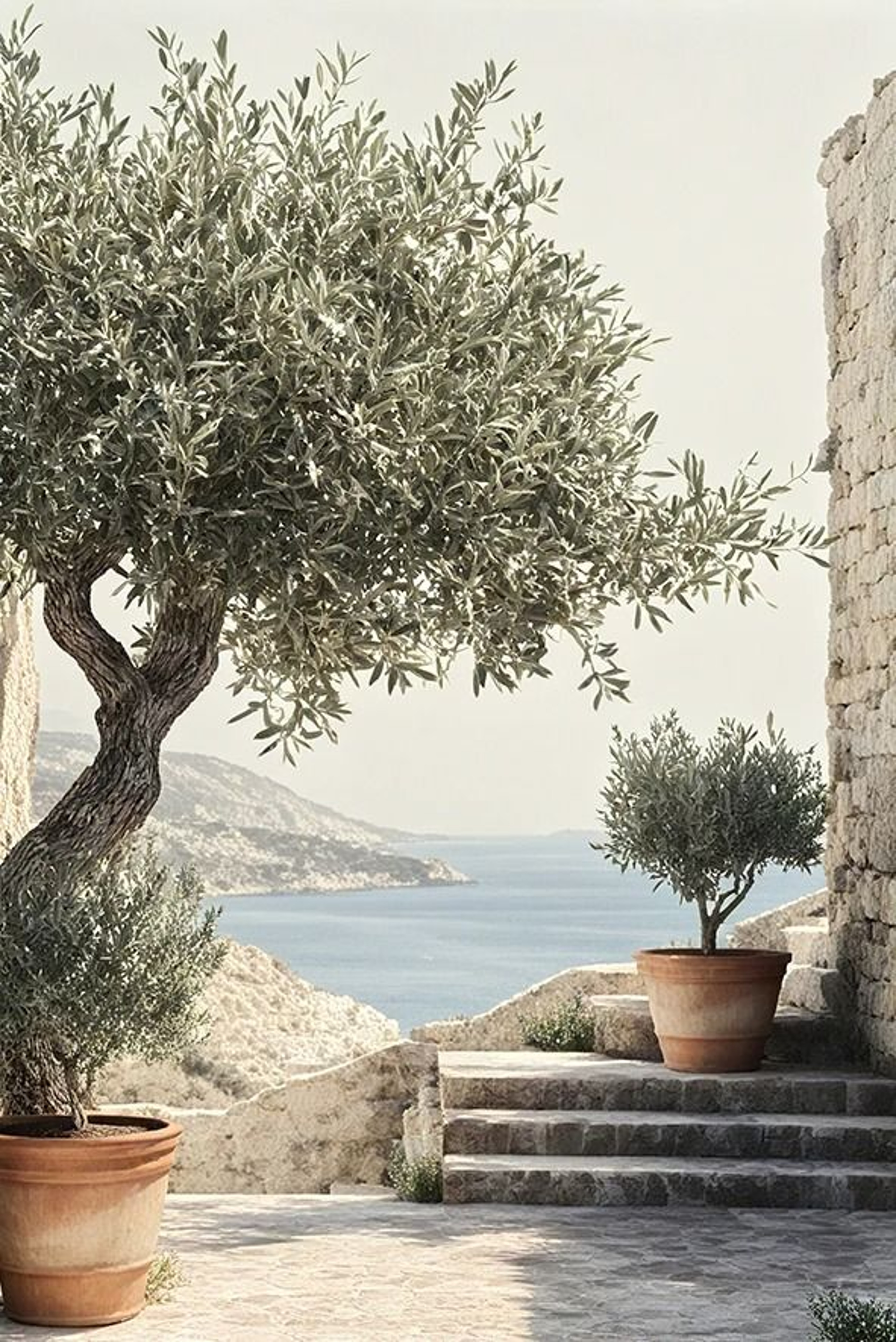 Vintage Olive Tree And Lemon Canvas Poster Botanical Wall Art Print 13