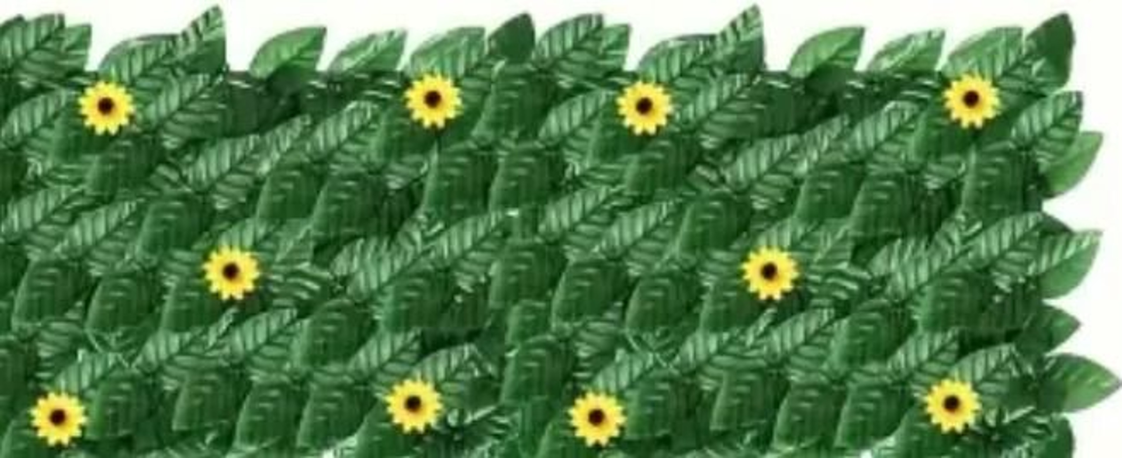 Artificial Ivy Privacy Fence With Sunflowers Outdoor Wall Decor Panel 2