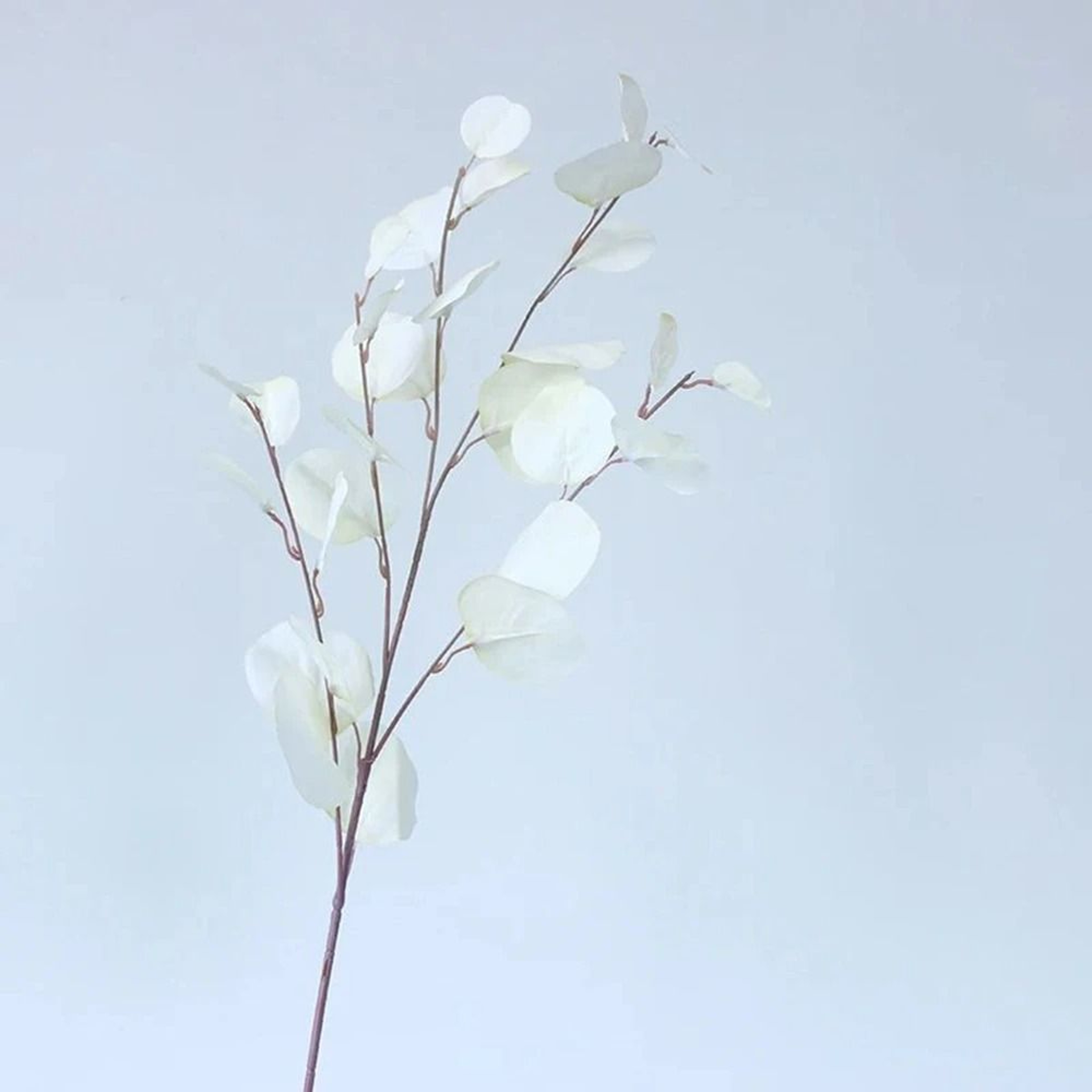 Artificial Eucalyptus Stems Long Stem Greenery Wall And Vase Decor 4
