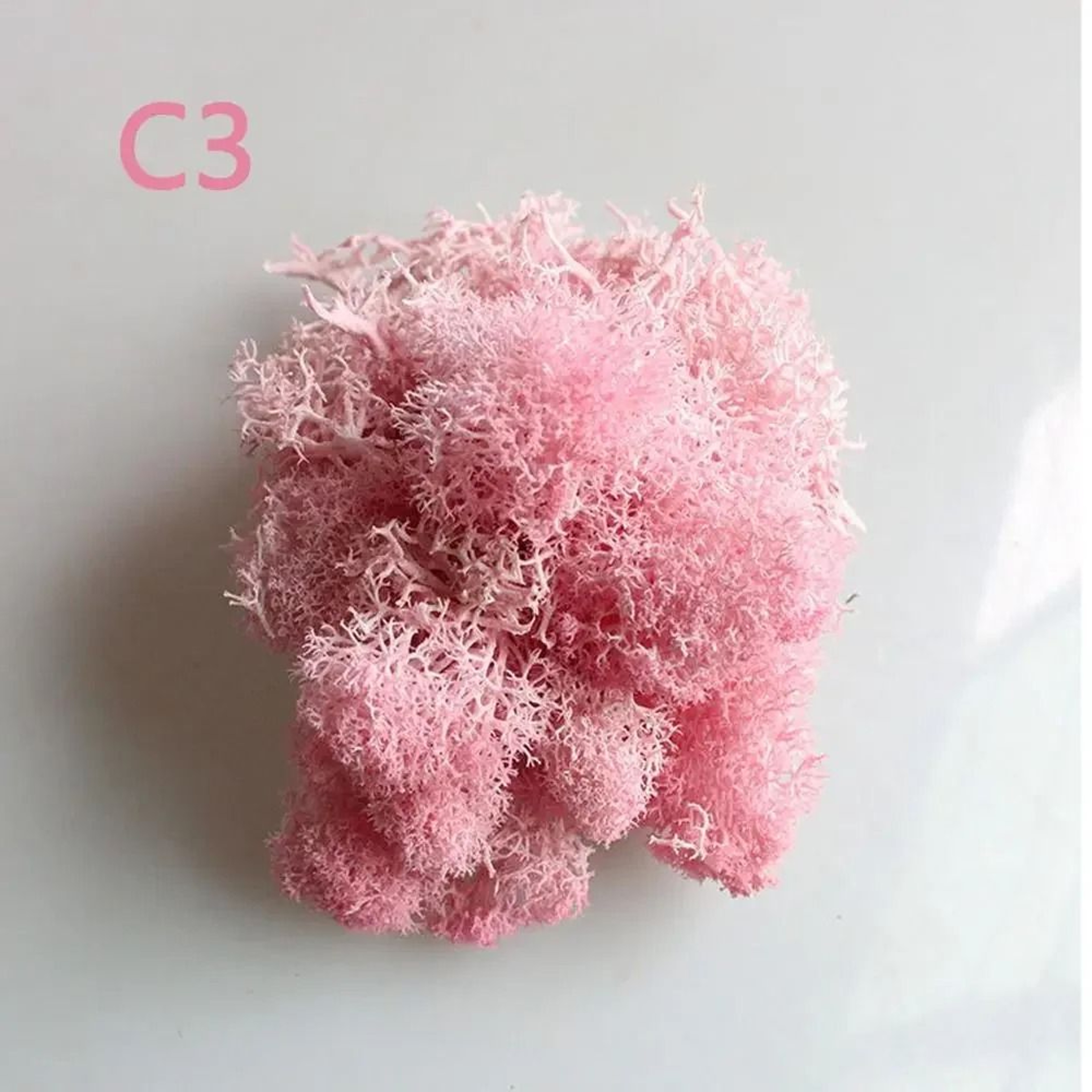 Preserved Moss Decor Artificial Moss For DIY Wall And Mini Landscape Design 17