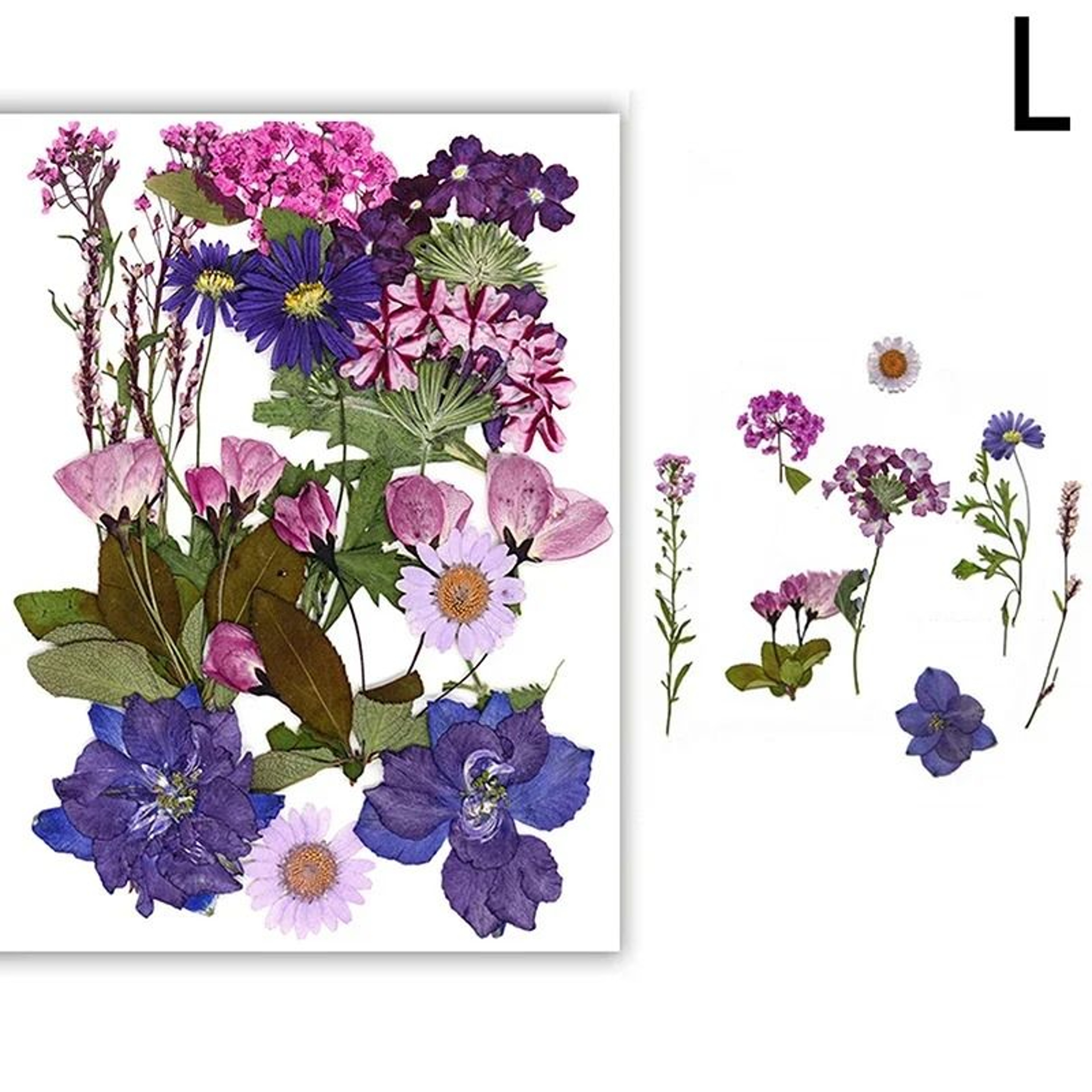 Natural Dried Flowers For Resin Jewelry Nail Art And Craft Decoration 12