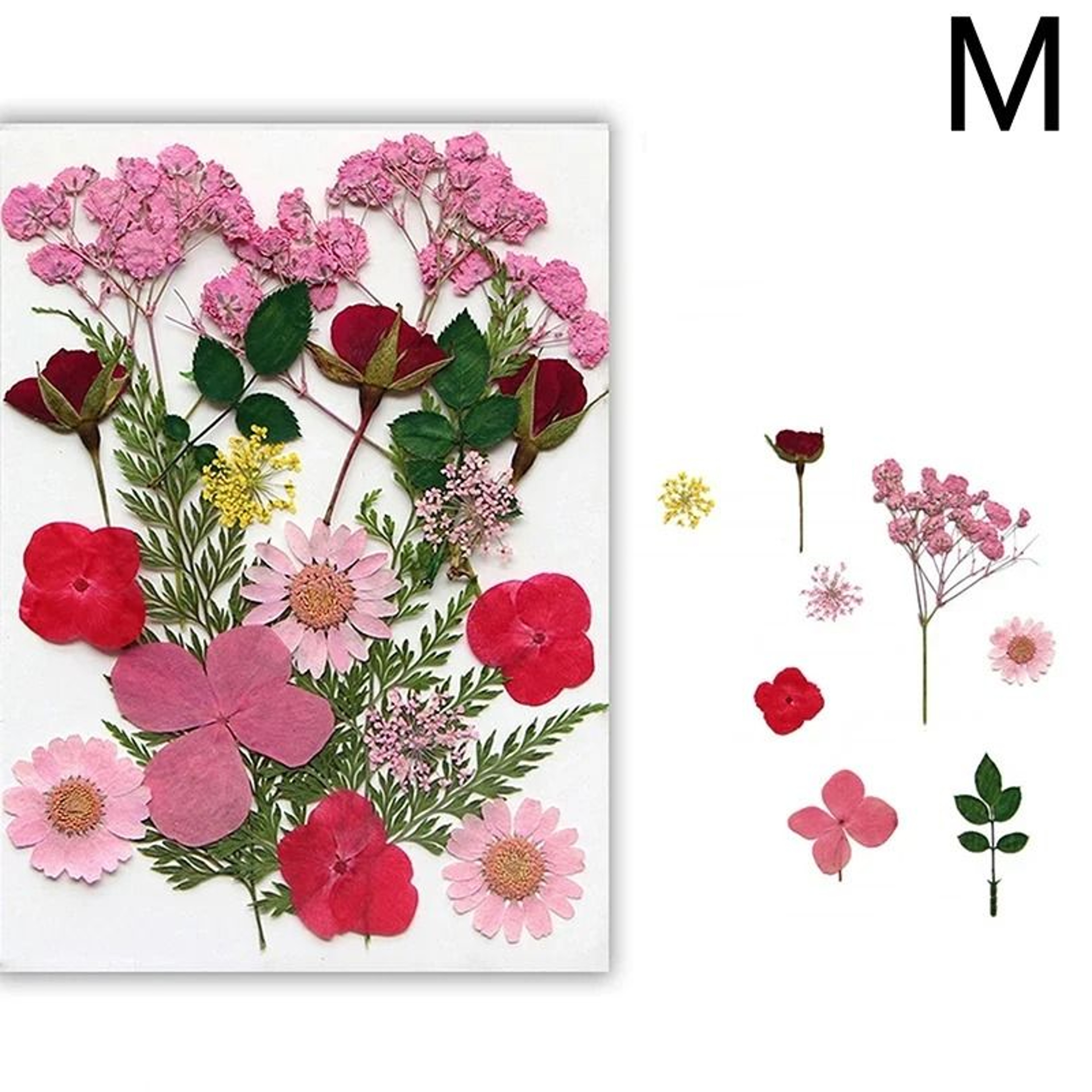 Natural Dried Flowers For Resin Jewelry Nail Art And Craft Decoration 13