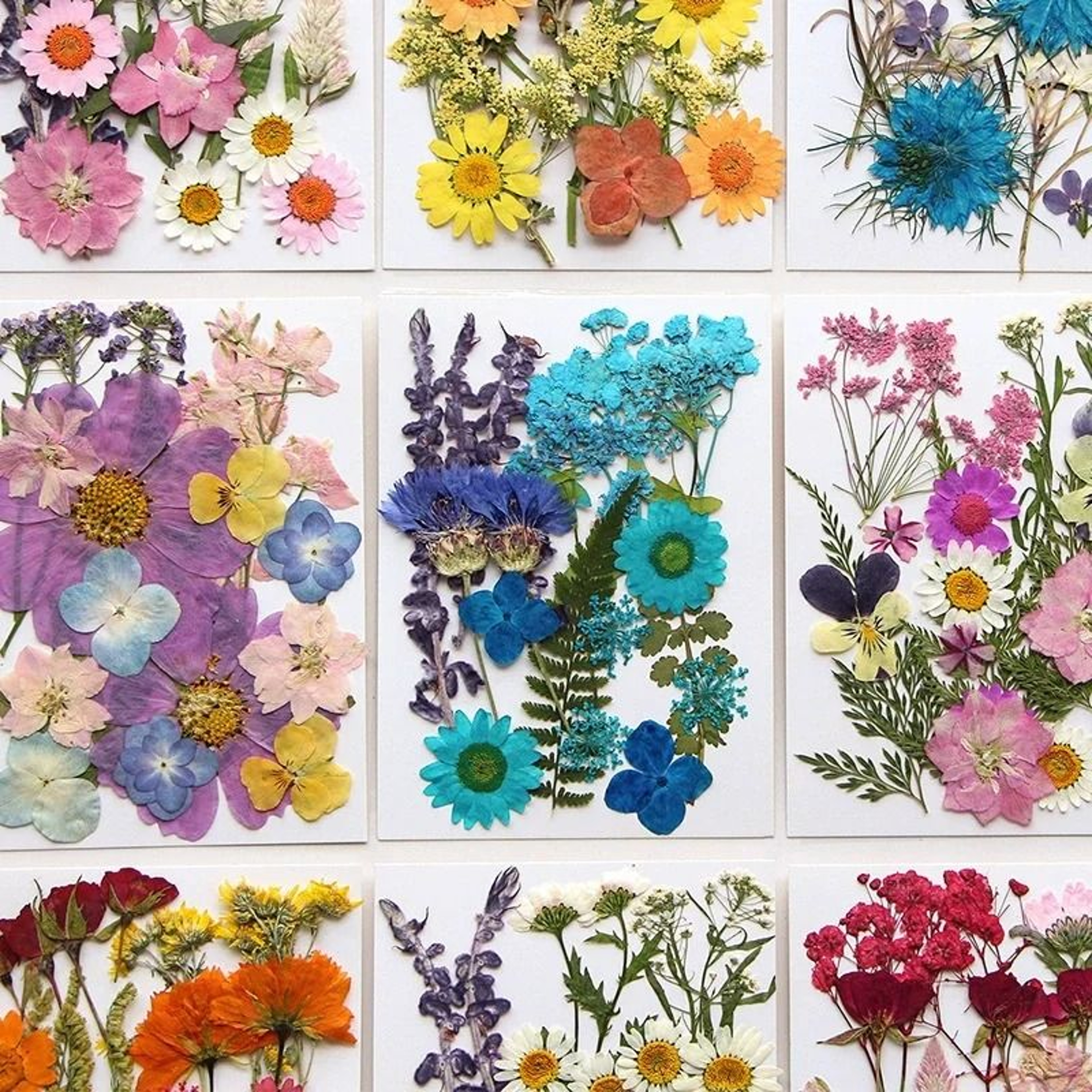 Natural Dried Flowers For Resin Jewelry Nail Art And Craft Decoration 0