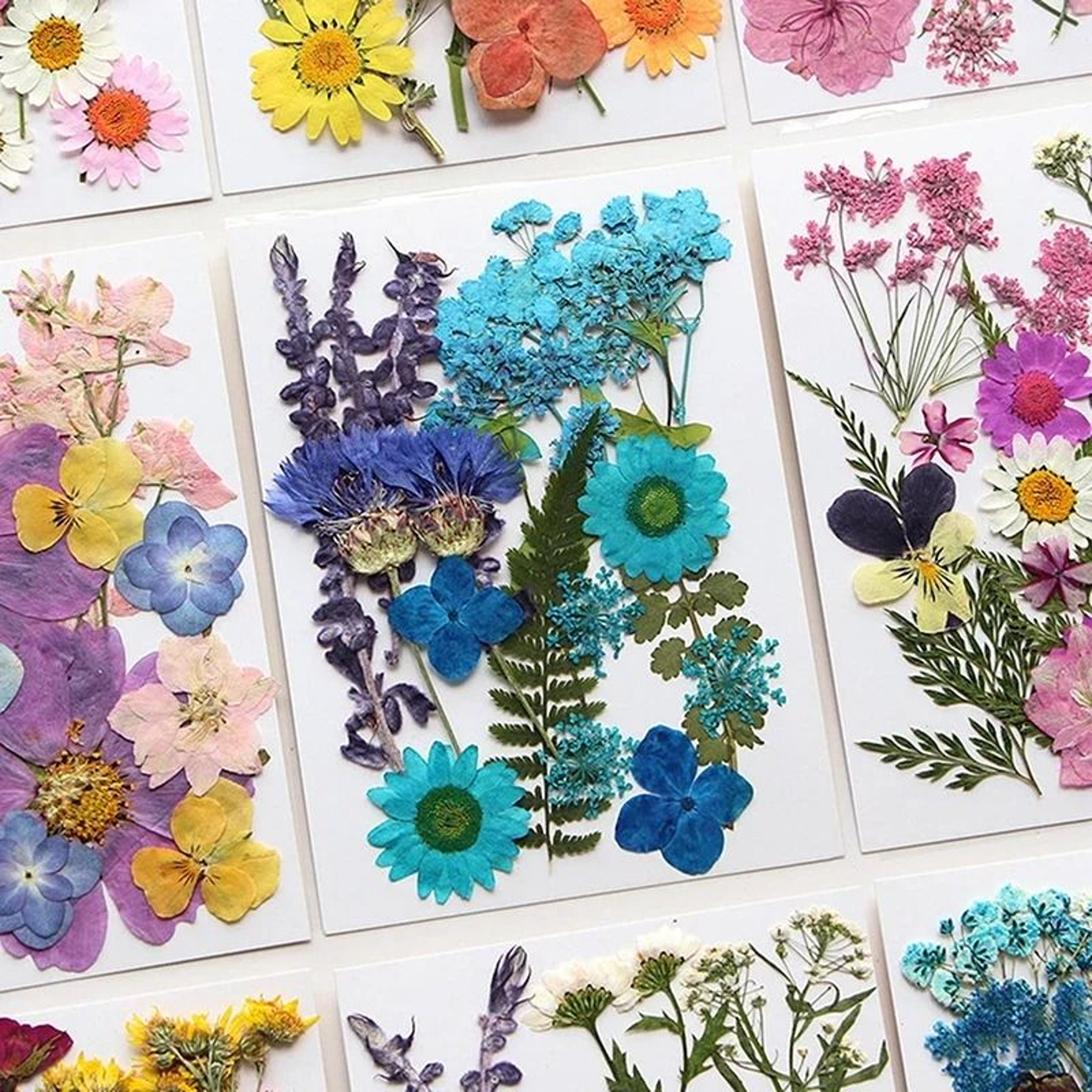 Natural Dried Flowers For Resin Jewelry Nail Art And Craft Decoration 20