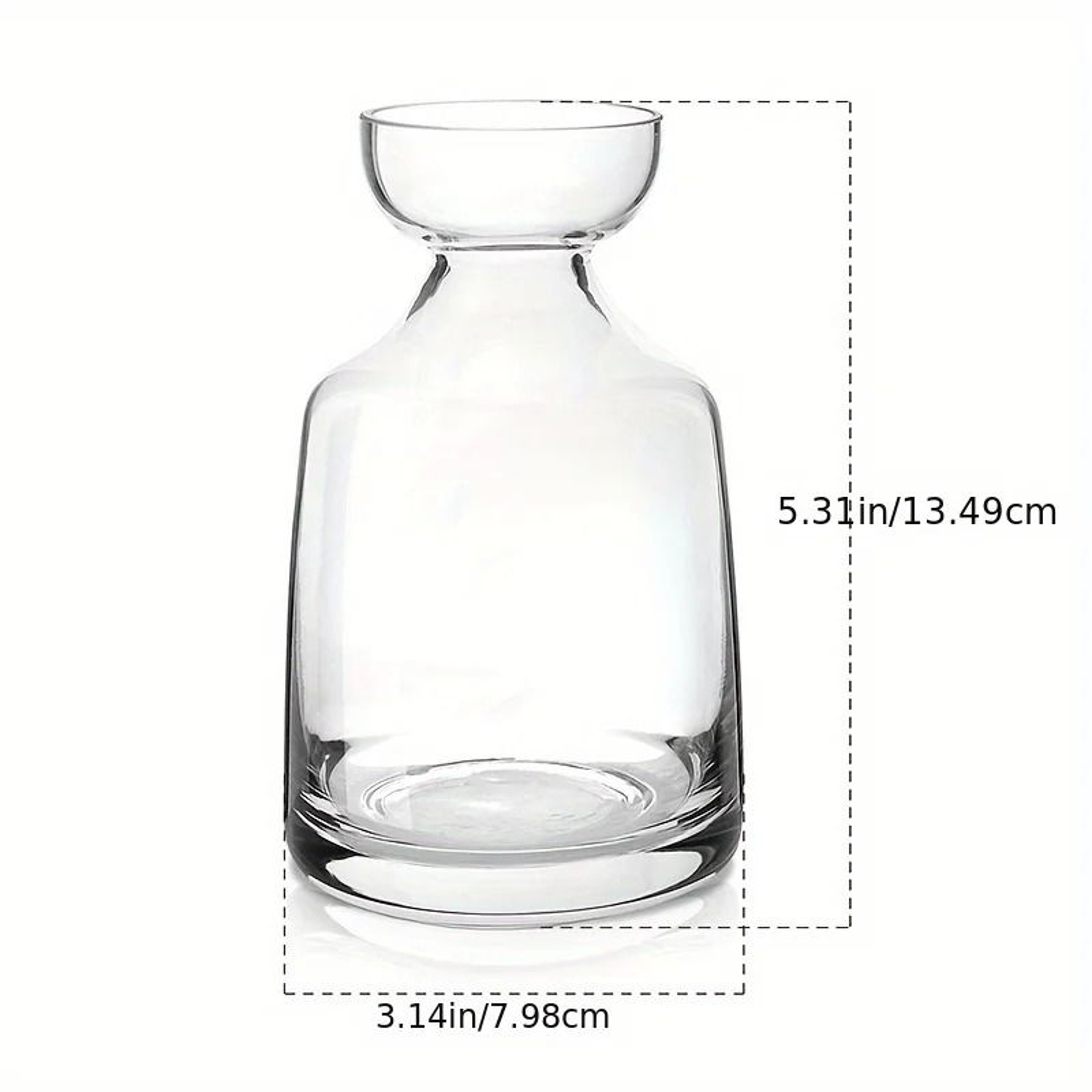 Avocado Seed Starter Glass Vase Set Hydroponic Growing Kit 6