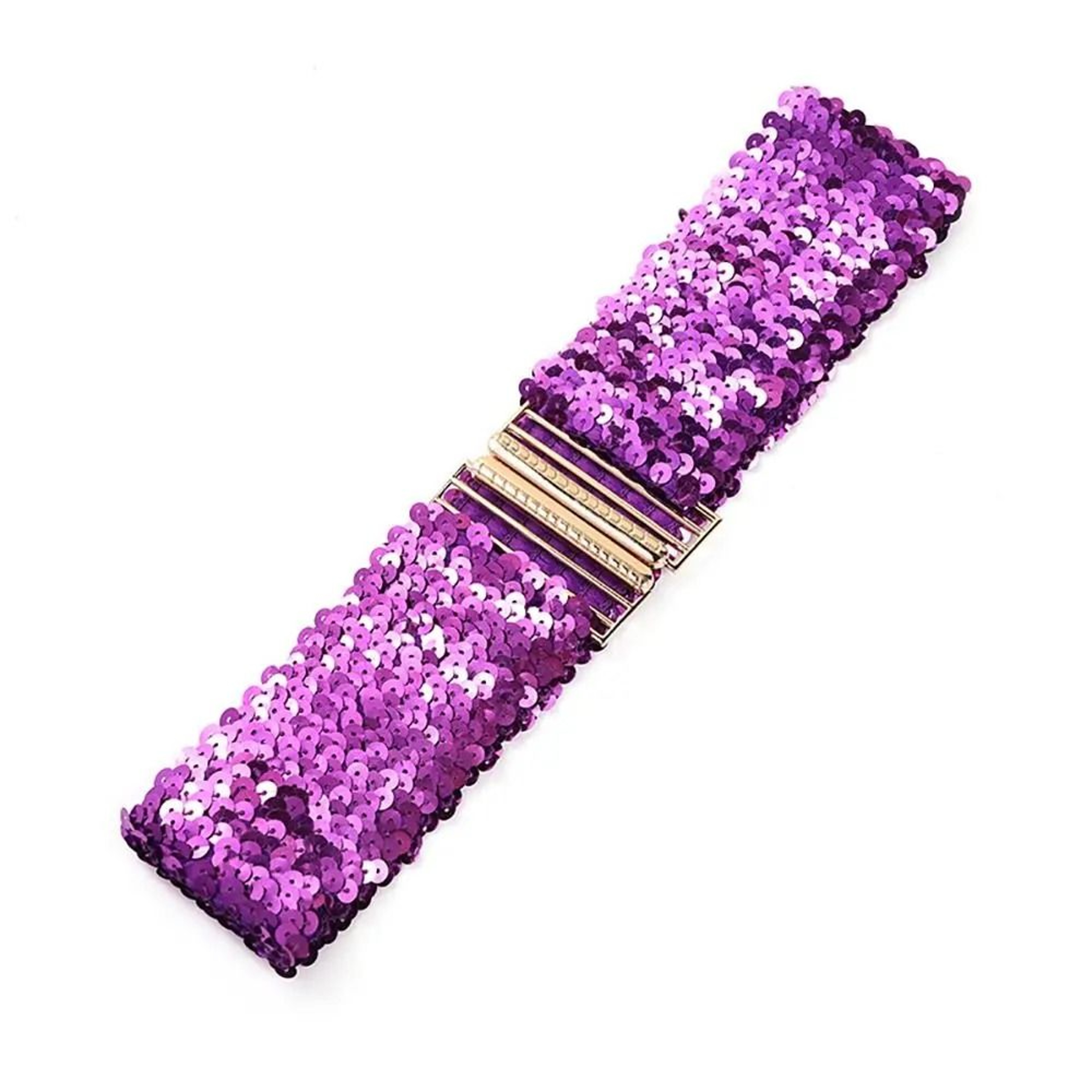 Sequin Stretch Belt Wide Elastic Corset Waistband For Women 1