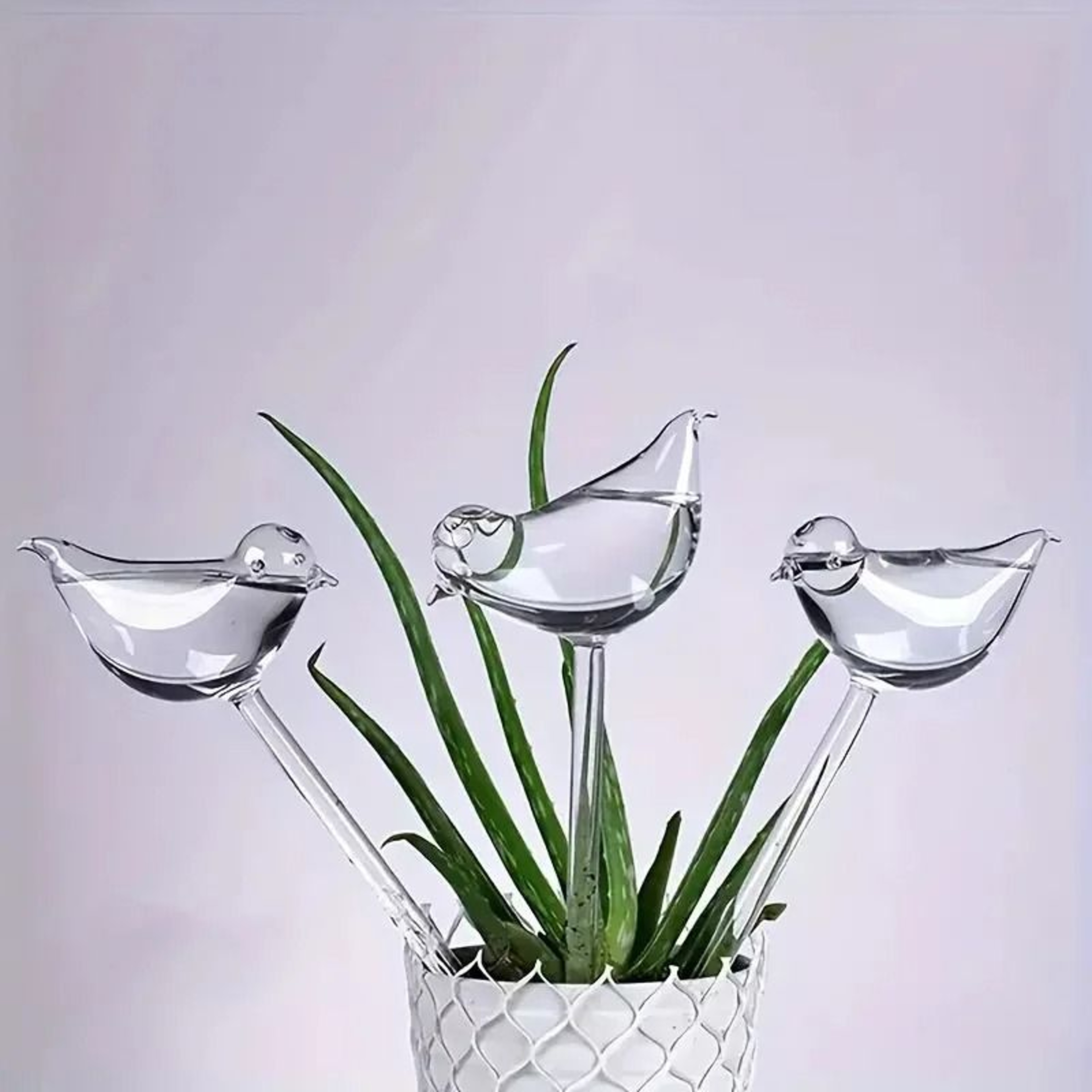 Automatic Bird Water Dispenser Gravity Pet Water Feeder Bottle 2